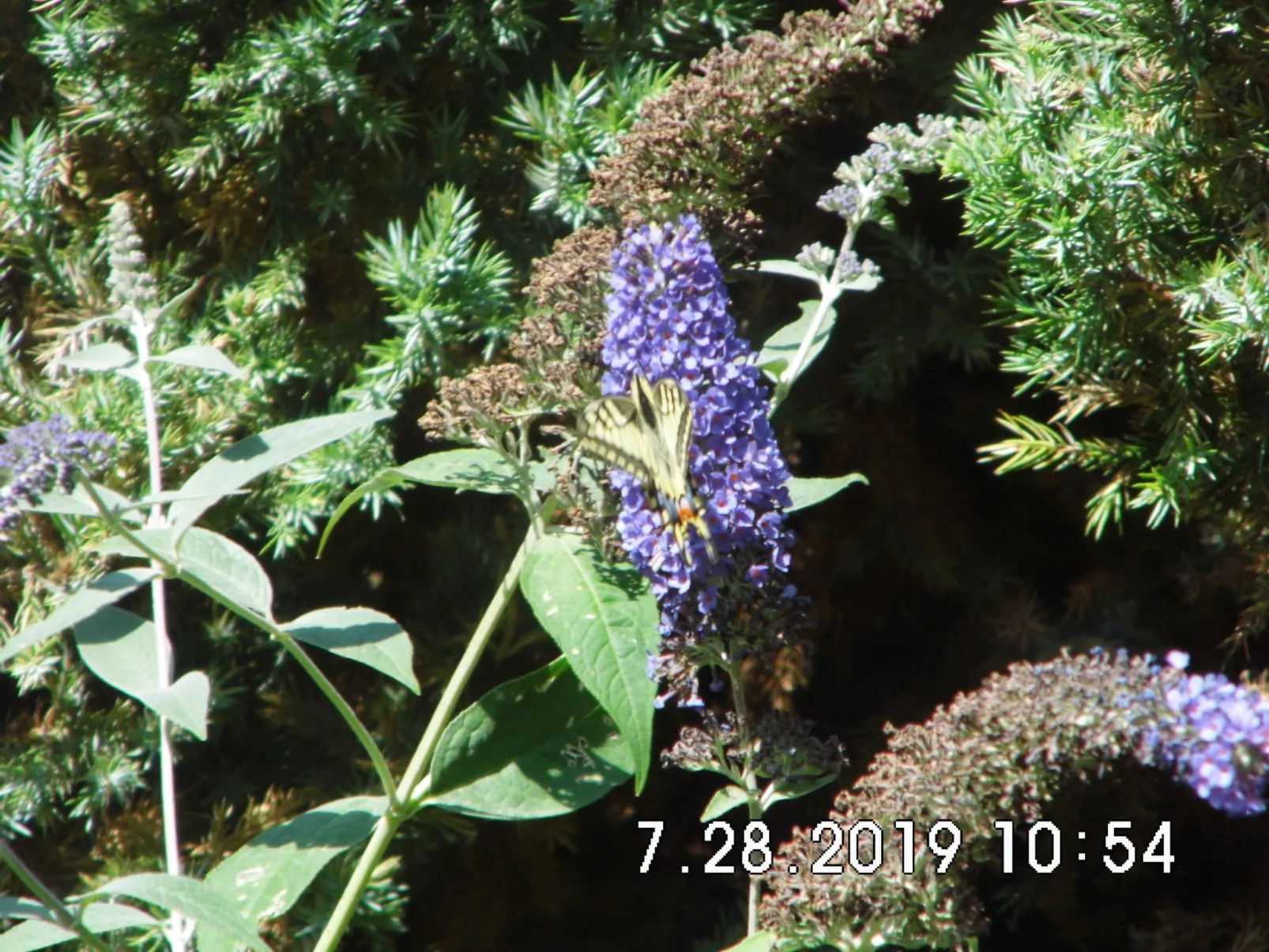 Am malerischen Nepperminer See-Image-tags.info