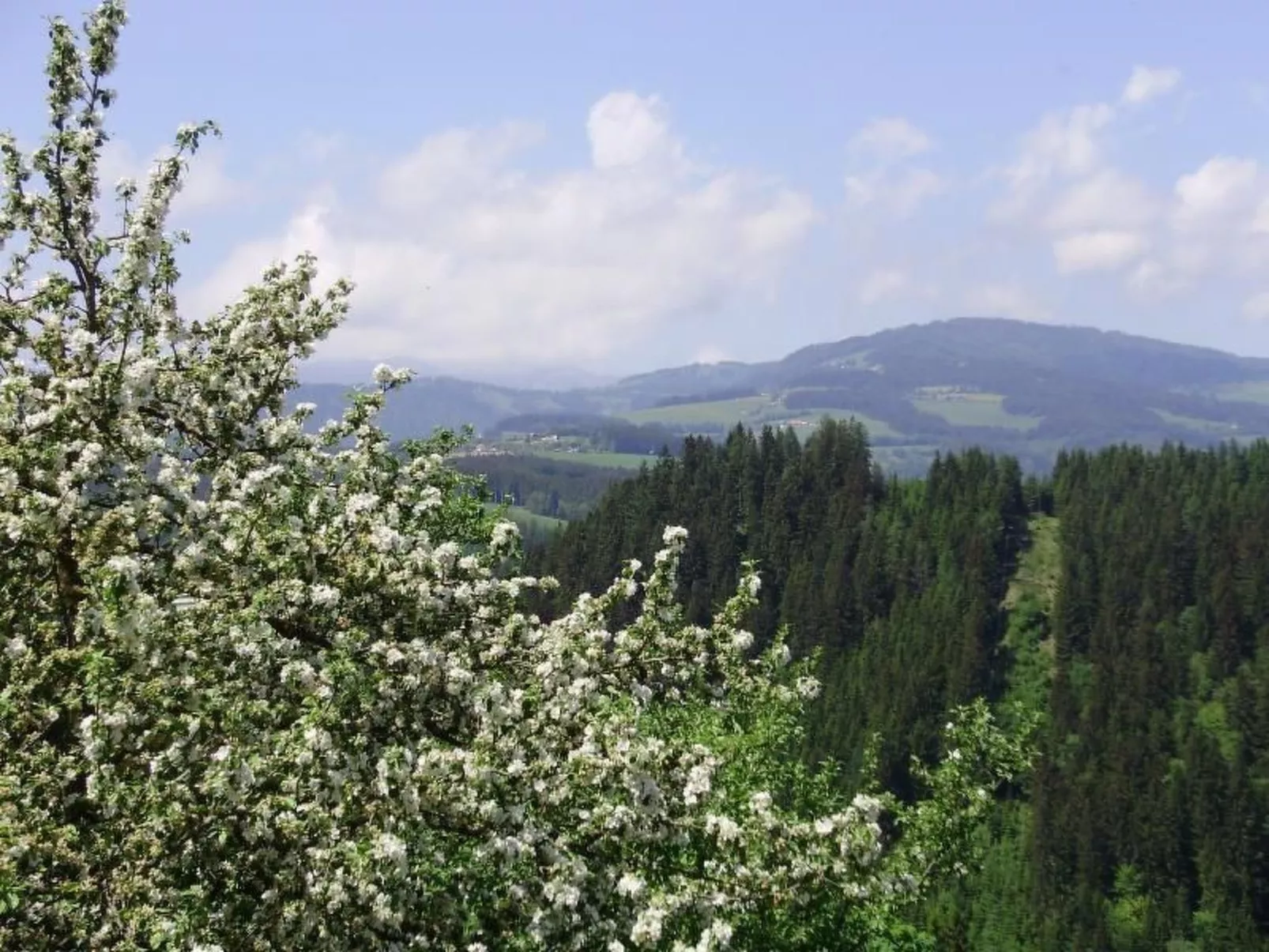 Schmiedbauer Hütt`n-Image-tags.info