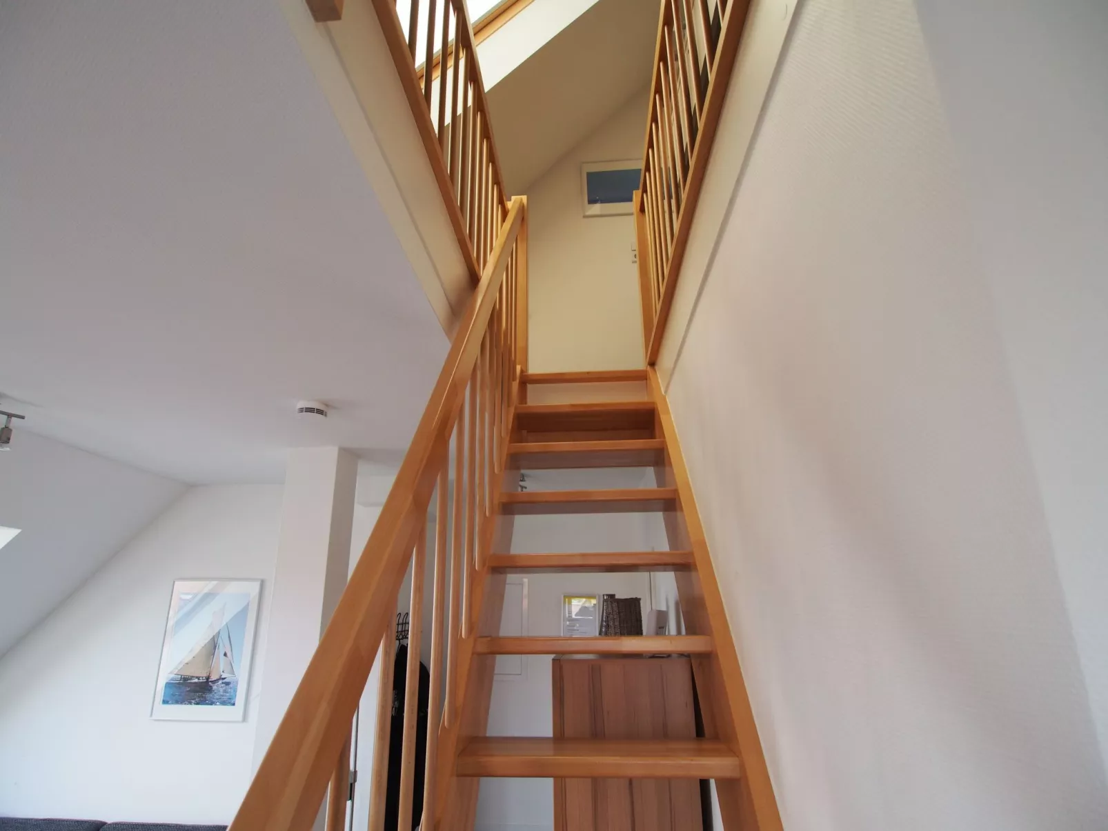 Seestern41-Image-tags.info