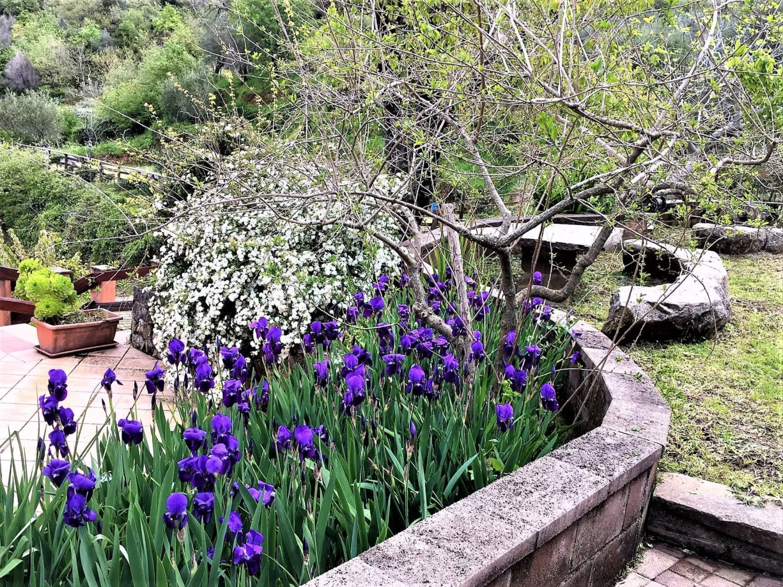 Orange Wohnung-Dehors