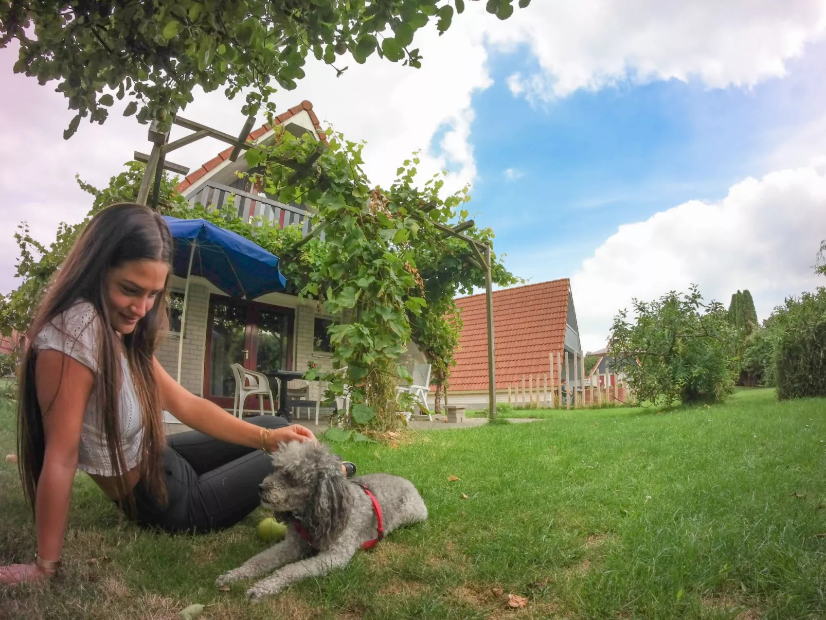 182 De Druif-Draußen