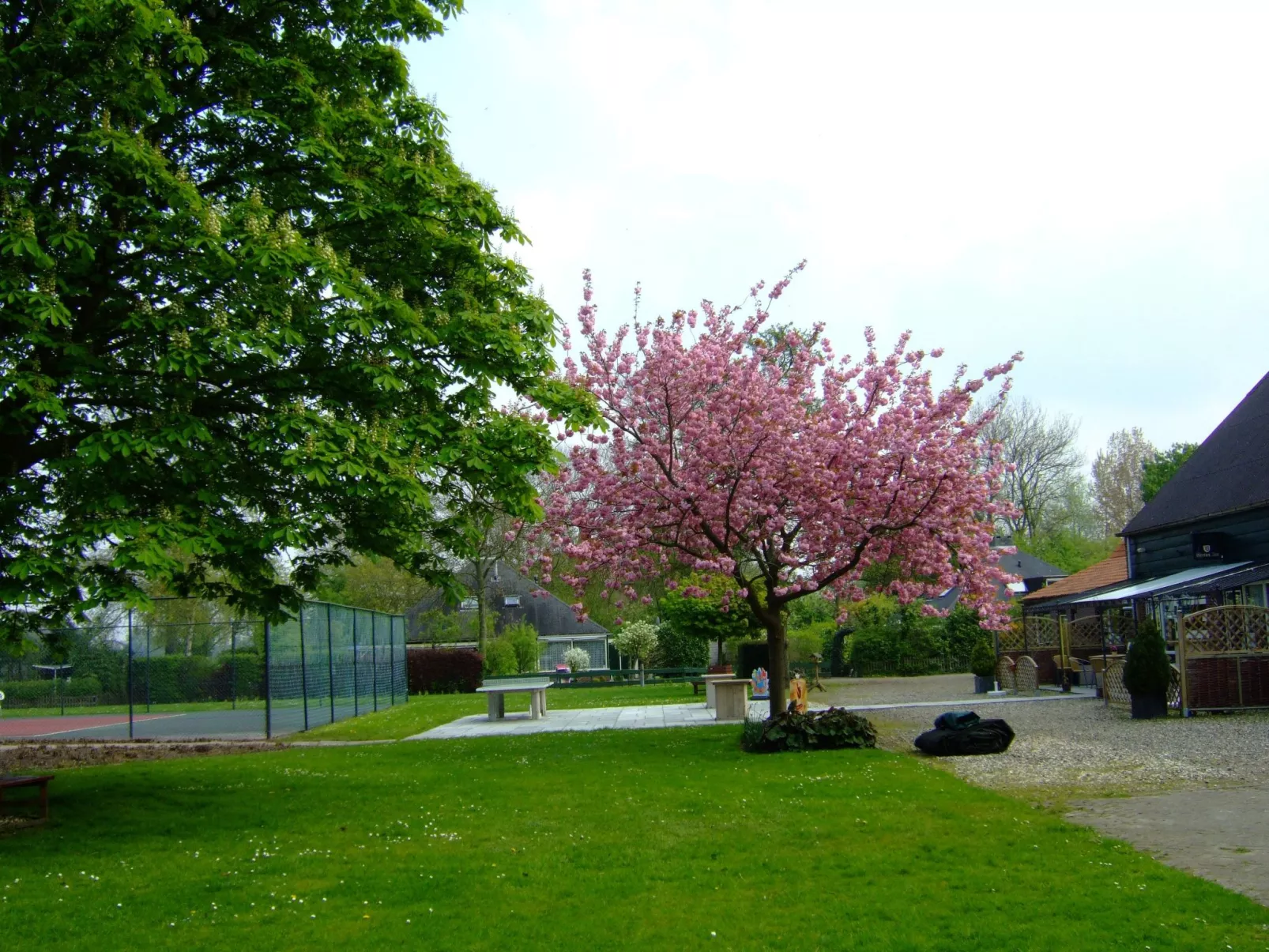 Gemütlicher Vier-Personen-Bungalow-Dehors