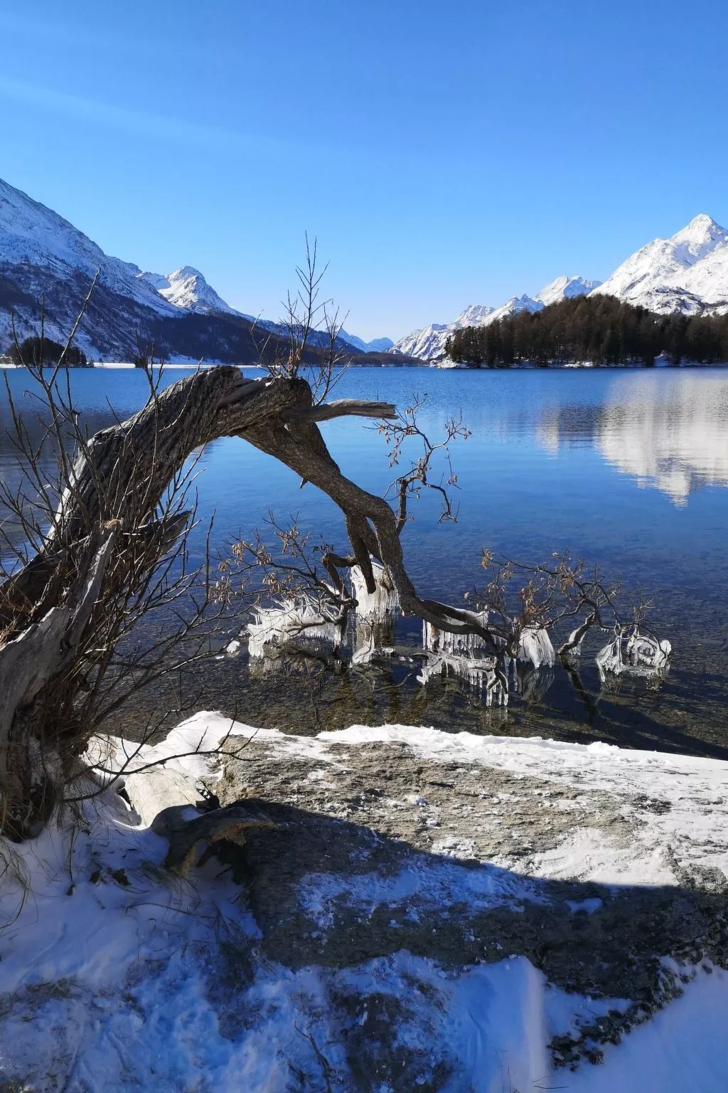 3 Bettwohnung-Image-tags.info