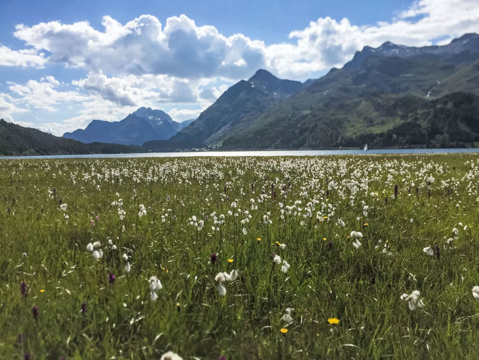 Wohnung 'Cad Maté 2' mit Bergblick-Umgebung