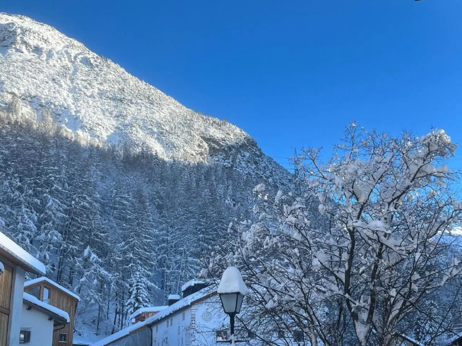 Bos-cha-Image-tags.info