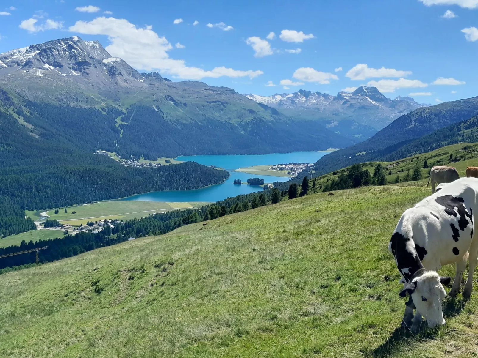 Holiday Park A06-Dehors