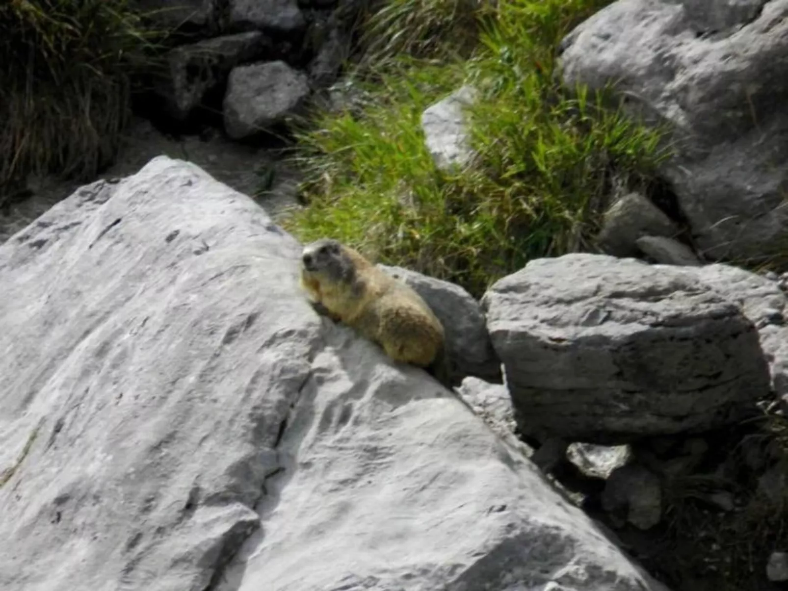 Gemütliche Ferienwohnung in Engelberg-Dehors