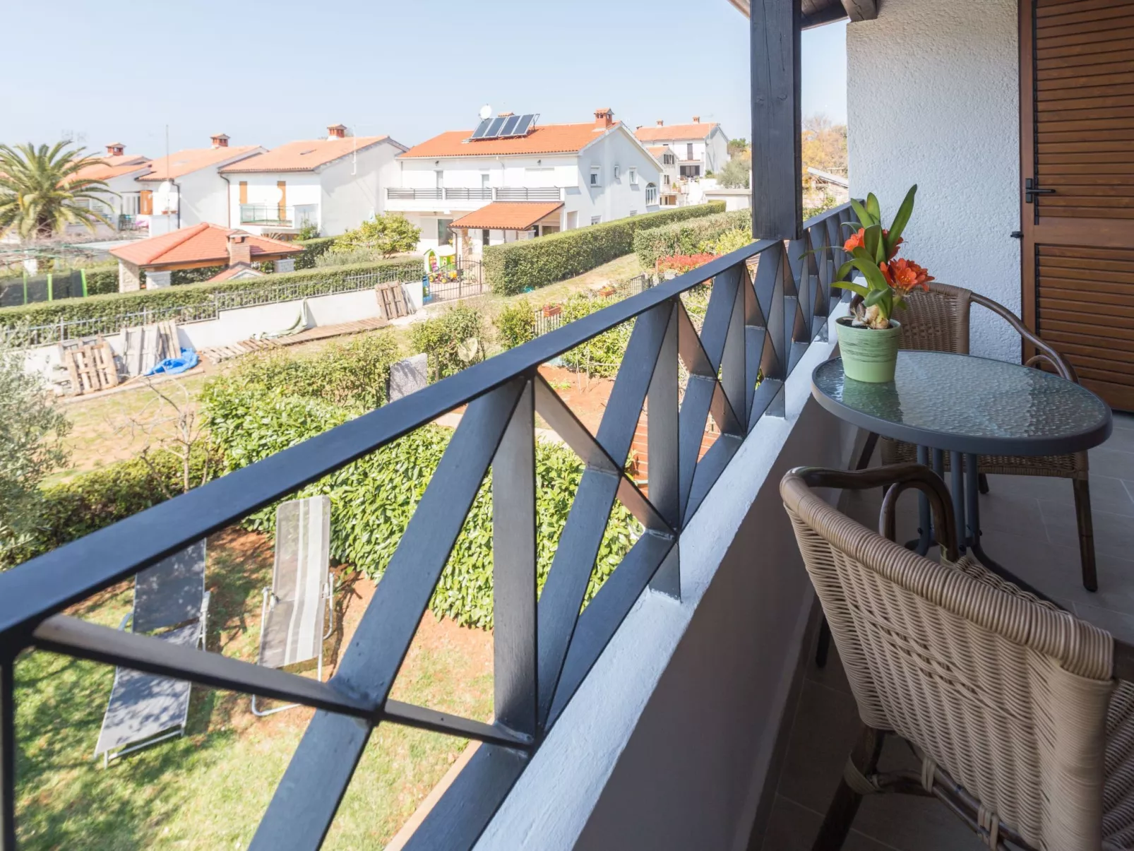 Oliva-Image-tags.info