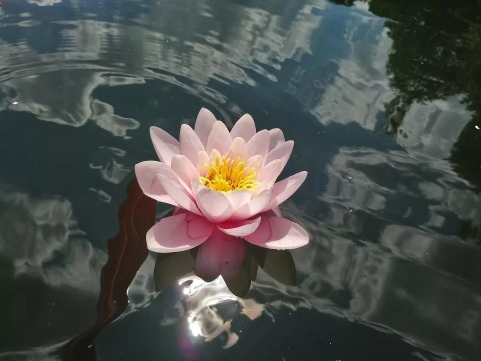 Waldhaus57 Silbersee-Draußen