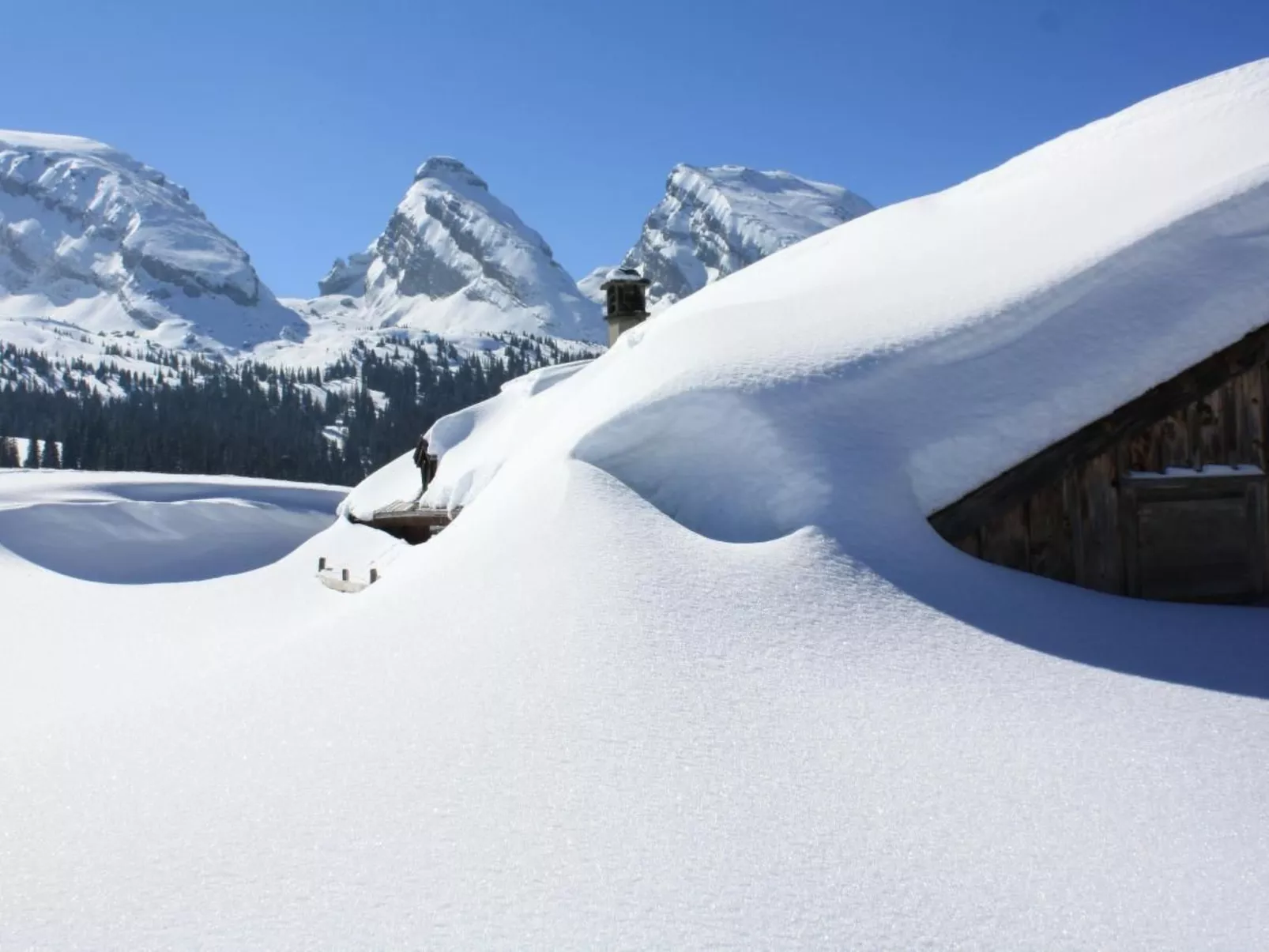 Casa Uccello-Image-tags.info