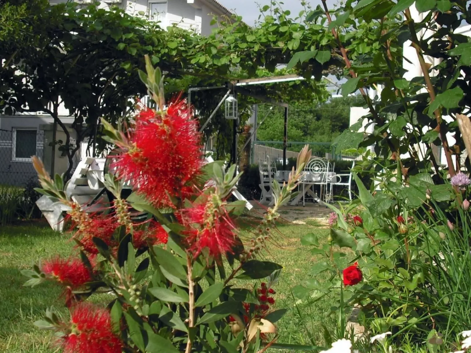 In Pula mit Grill, Terrasse und Garten-Dehors