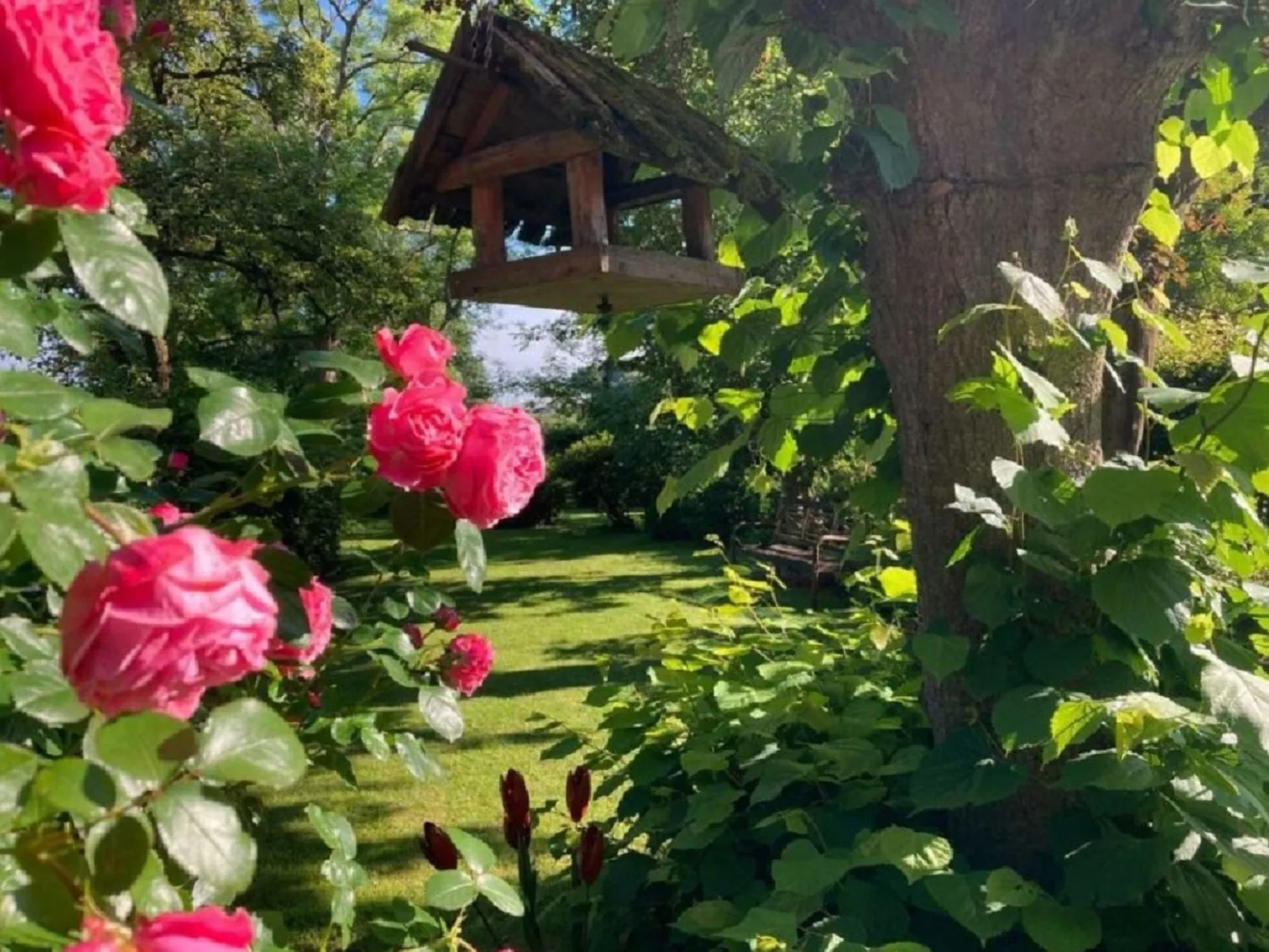 FeWo Nordnest-Draußen