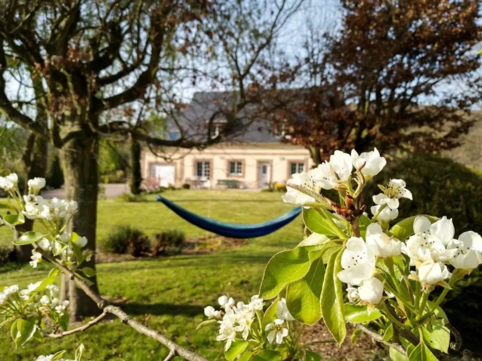 Le Clos du Hêtre-Image-tags.info