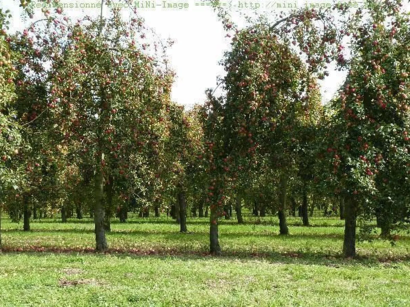 Wohnung "Le Caducée" mit Terrasse-Draußen