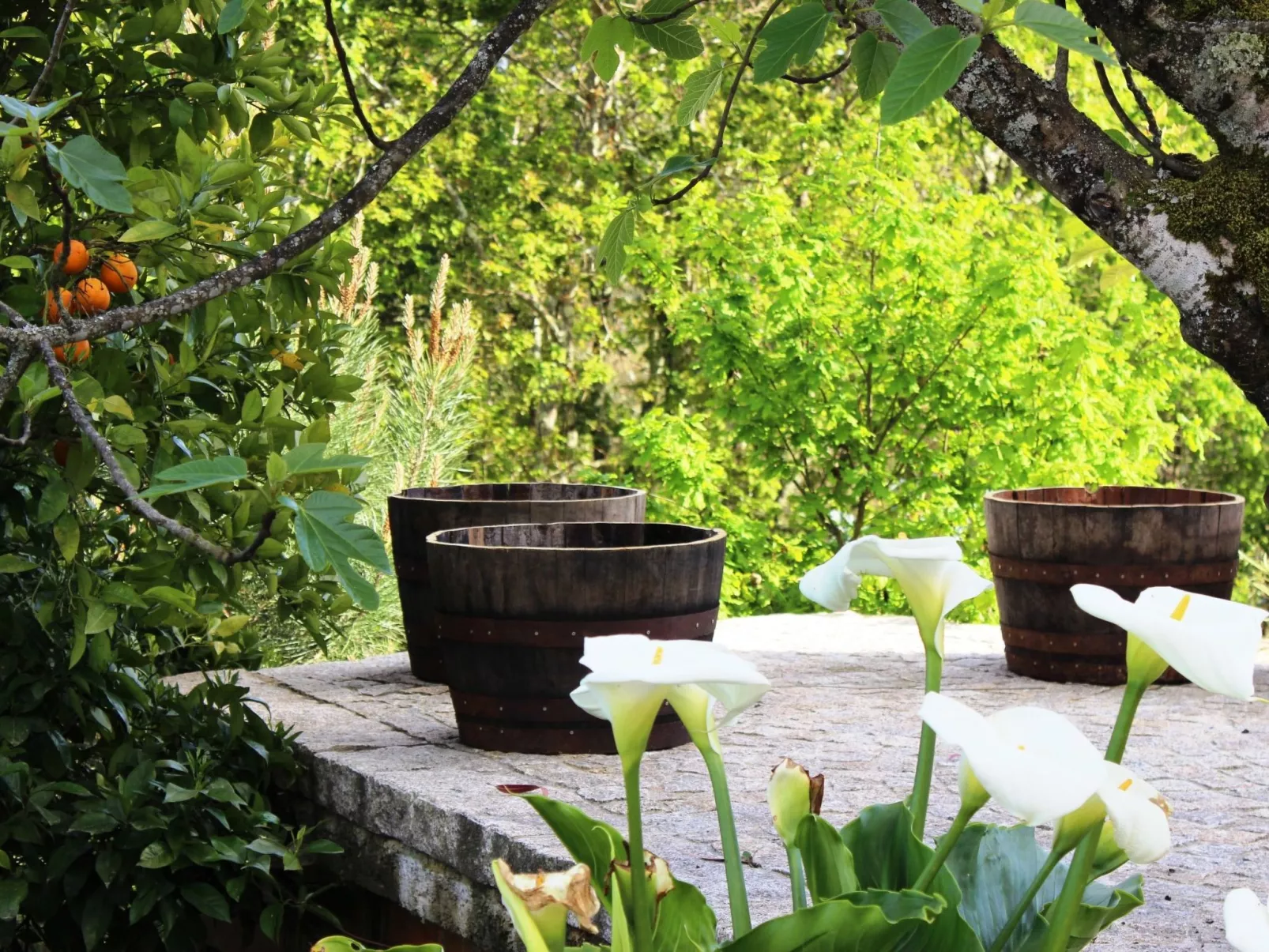 Renoviertes Landhaus für 4 Personen in Tondela-Draußen