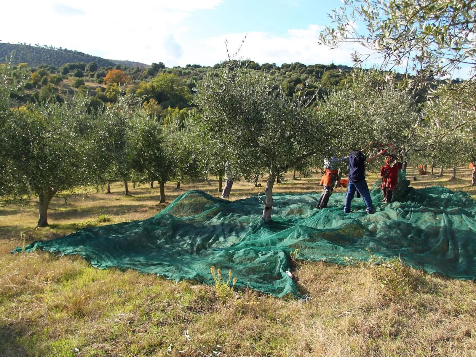 Wohnung Sonnenaufgang in Monte Vibiano Vecchio - Dehors