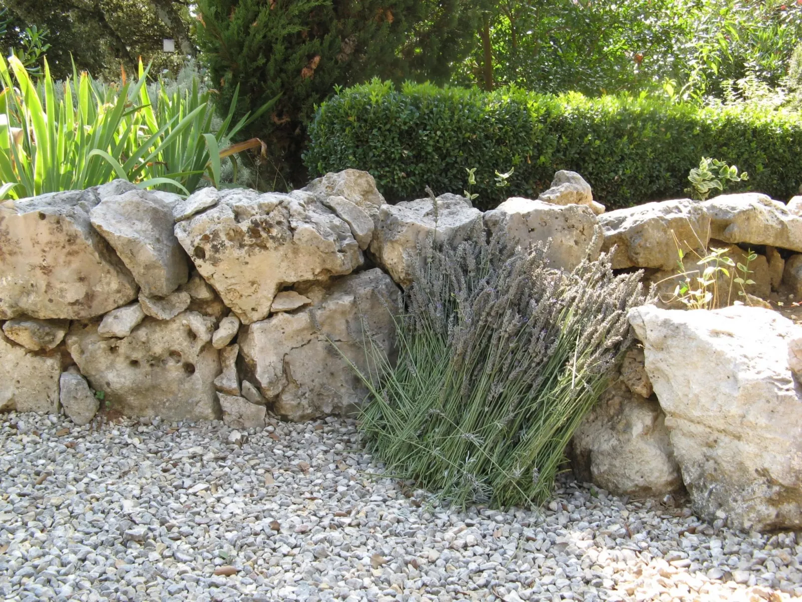 À l'abri du Mistral-Dehors