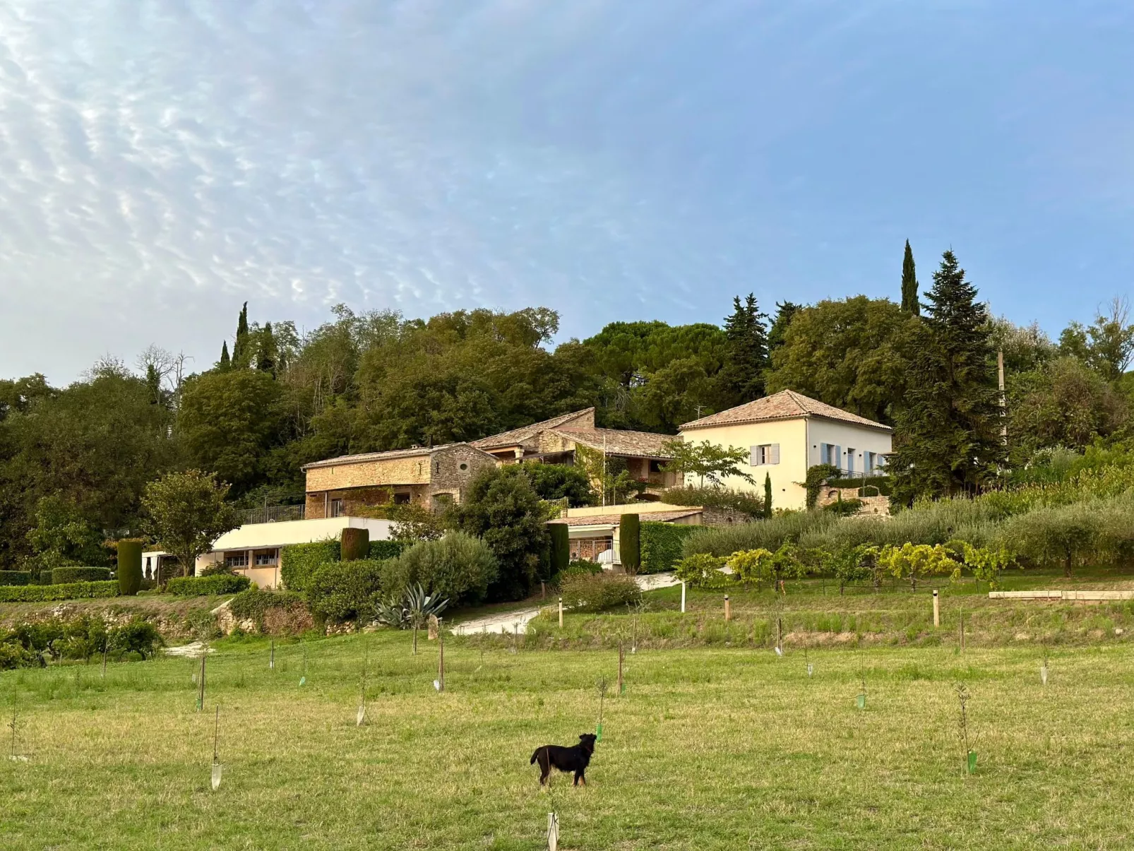 Maison Carrée-Draußen