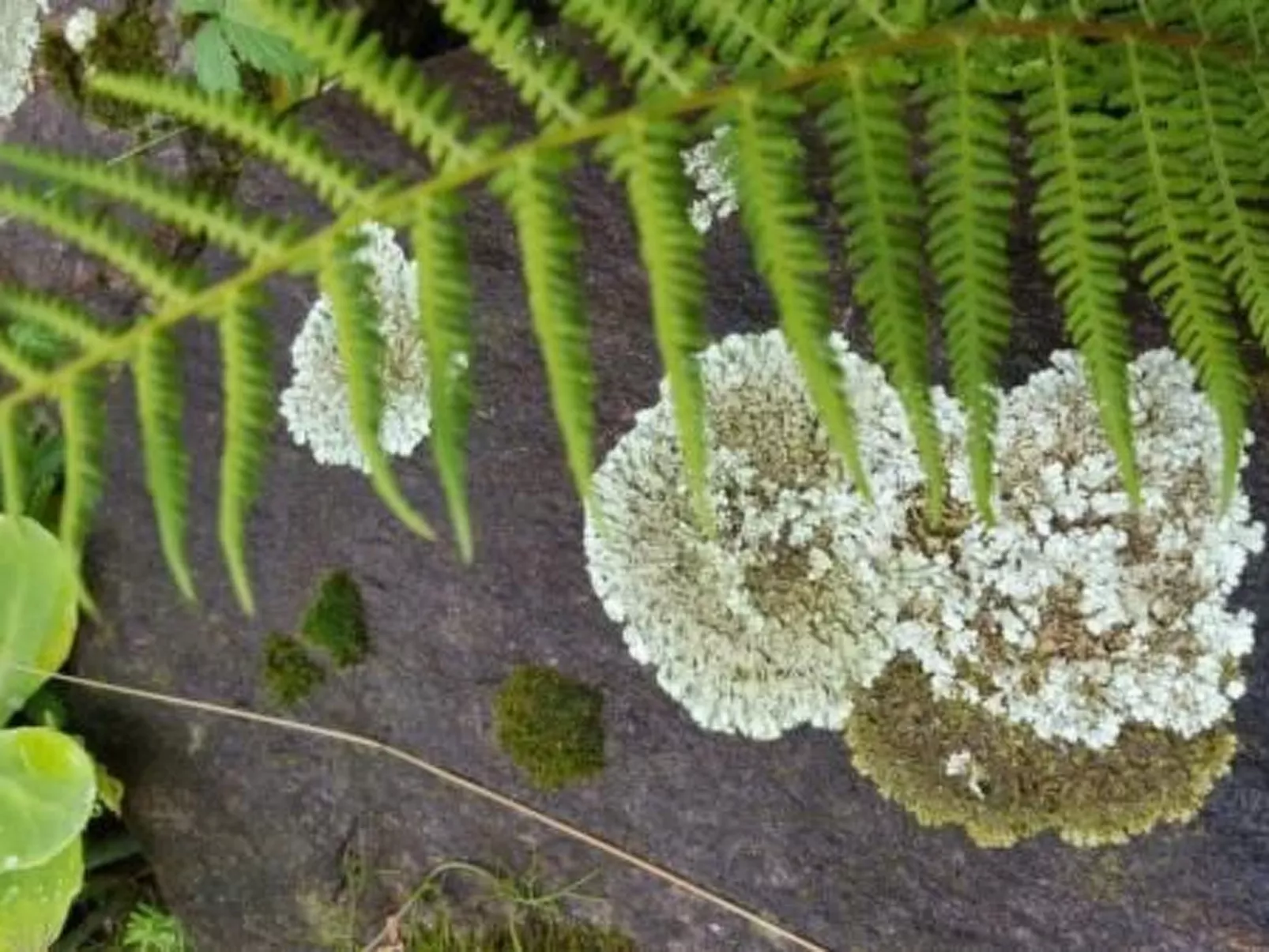 Casa Giardino Grande-Outside