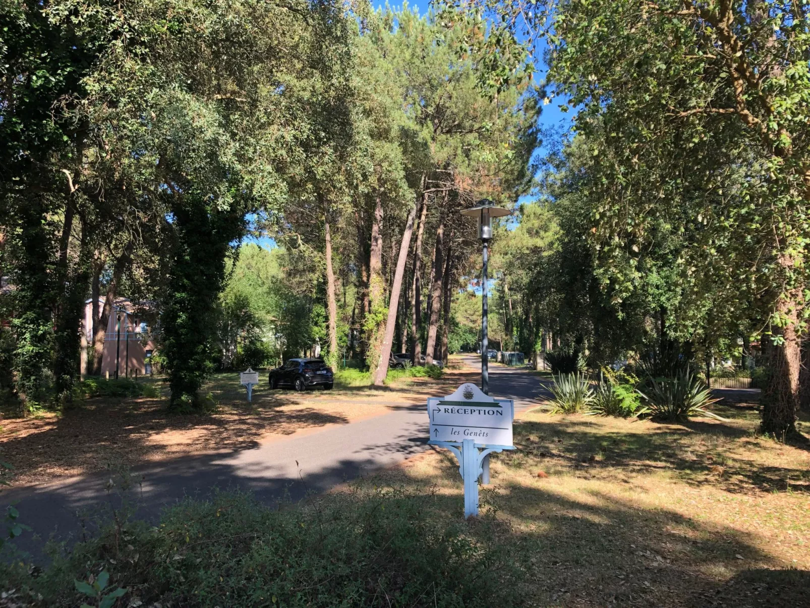 Schönes Appartment in ruhiger Lage in einer baumbestandenen Residenz mit beheiz-Dehors