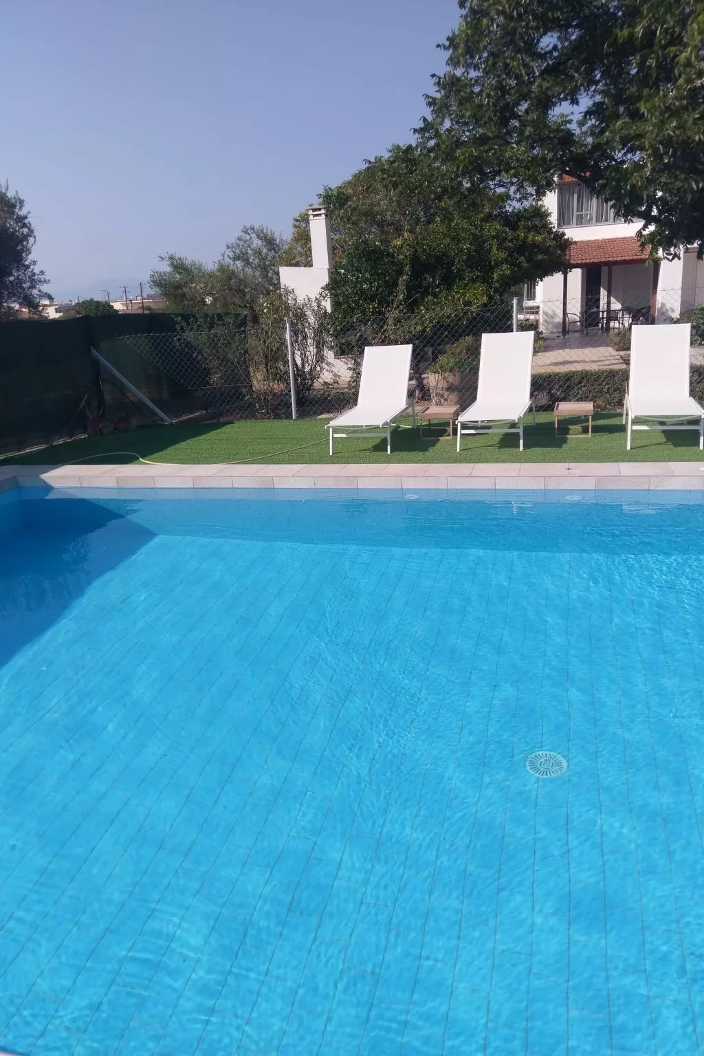 Neben Orangenbaum-Obstgarten-Outside