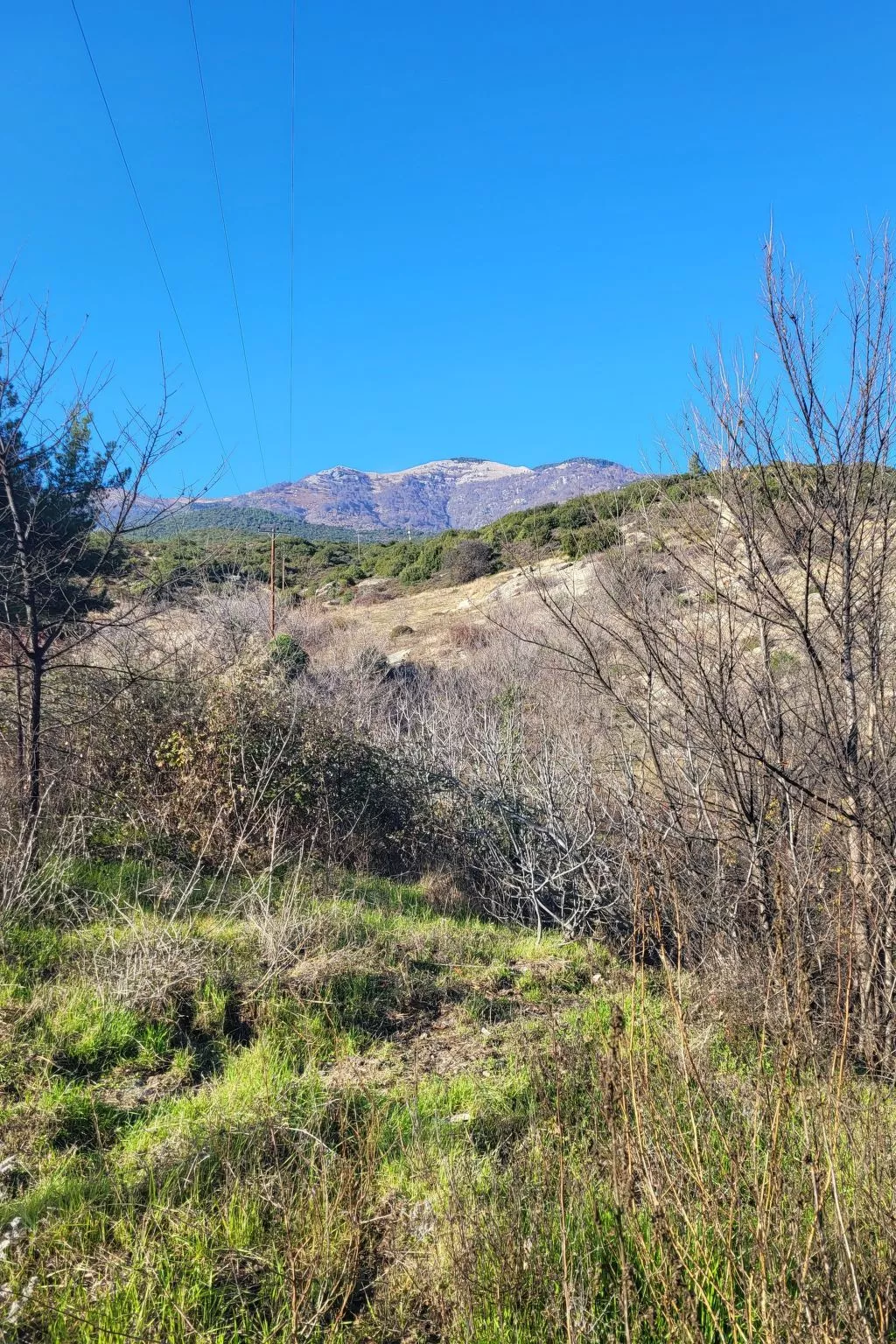 Villa Domatia-Dehors