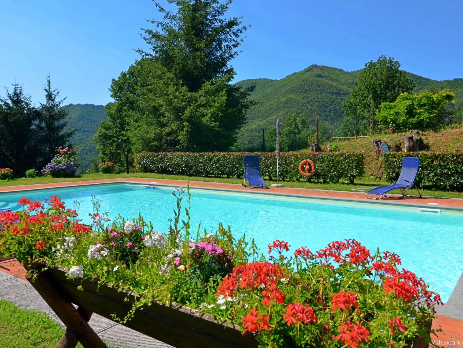 Wohnung in Piteglio mit Privatem Garten-Outside