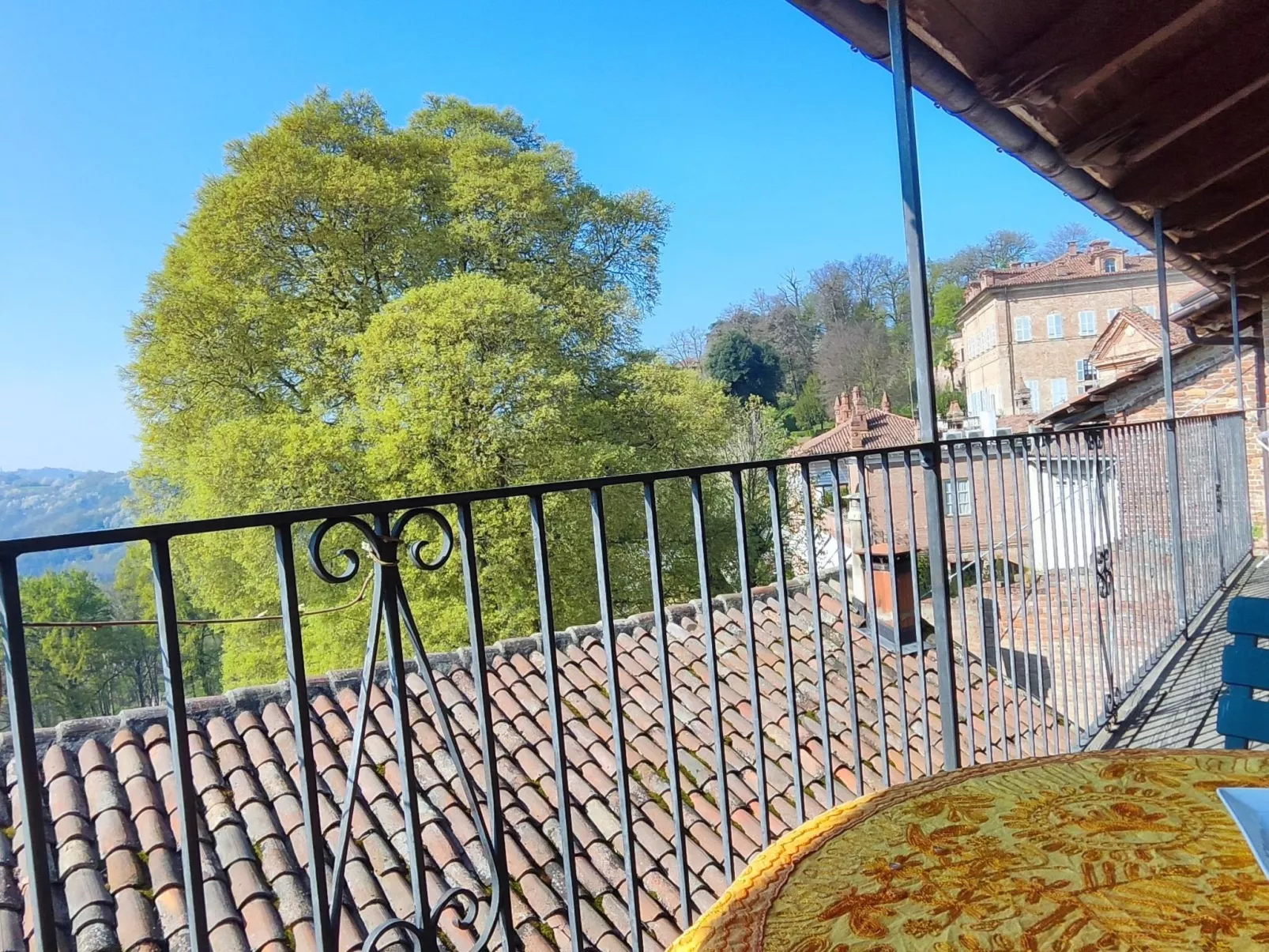 Vergissmeinnicht-Outside