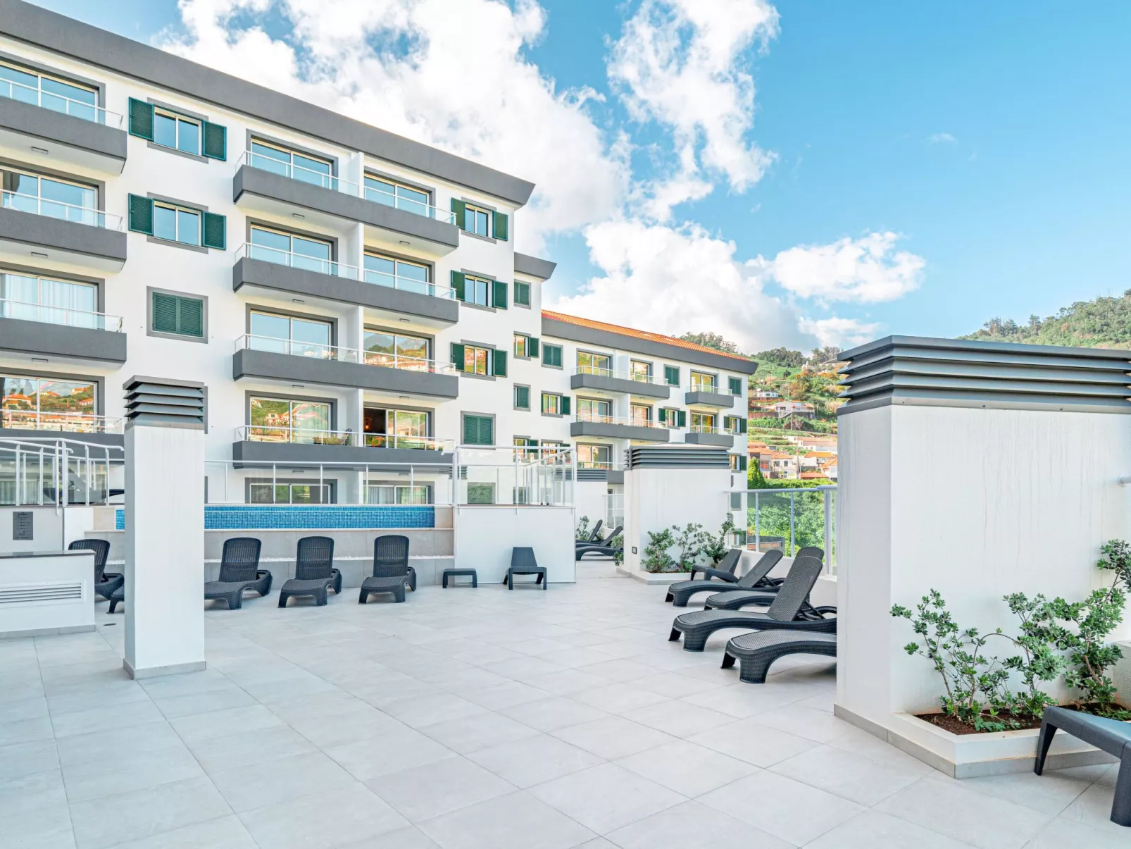 "Sonnenblume" mit Gemeinschaftspool-Image-tags.info