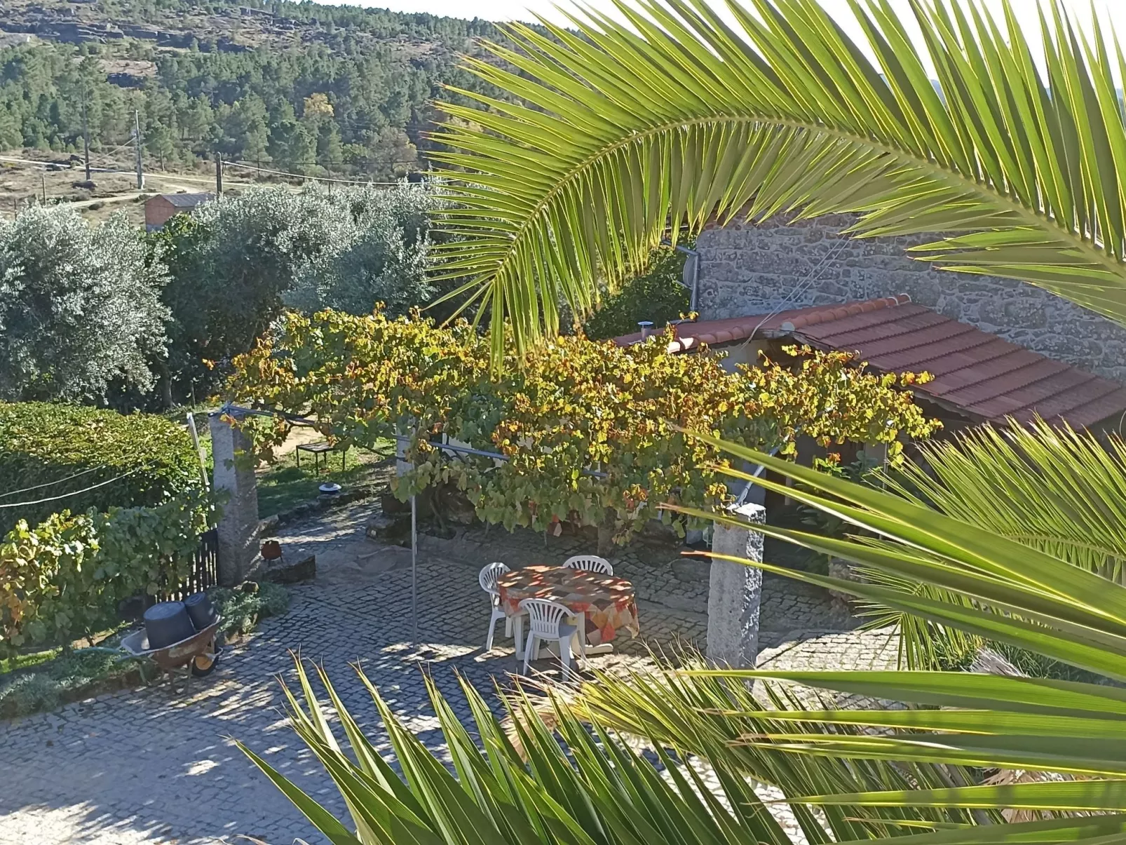 Ferien auf dem Bauernhof mit Weinberg-Outside