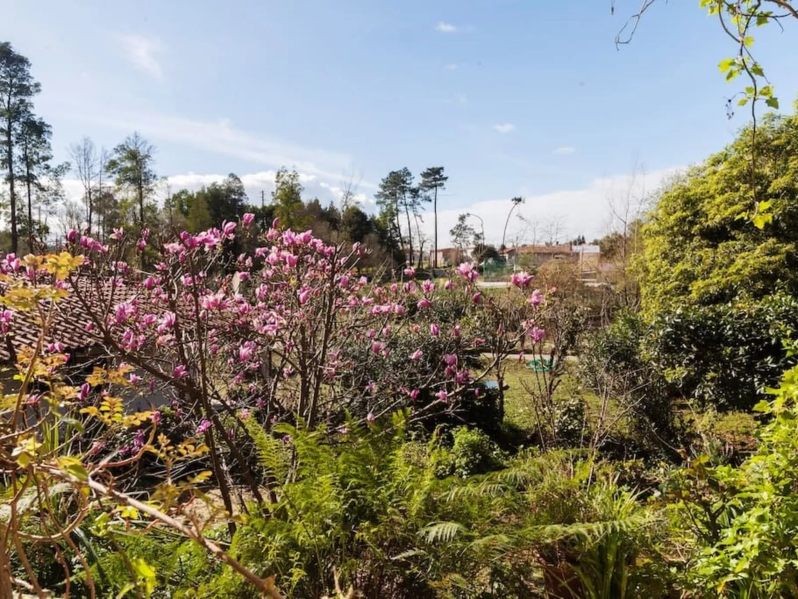 Maison du Moulin in Bauernhof-Draußen