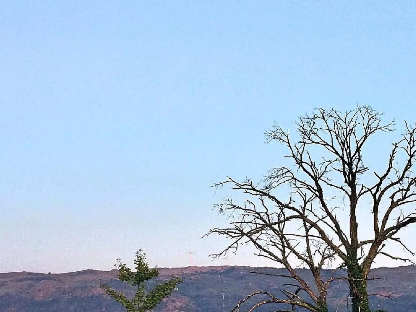 Mit Blick auf das Wasser-Dehors