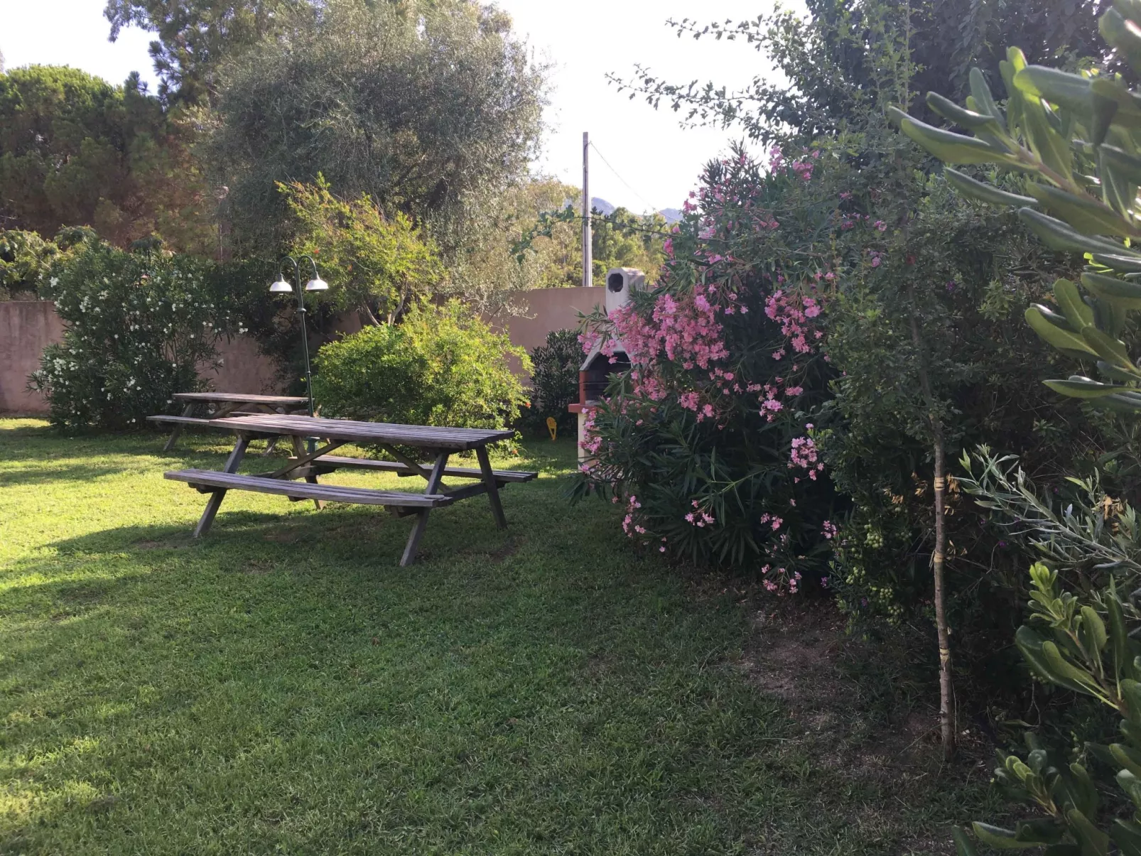 Pinu - Les Muriers-Dehors