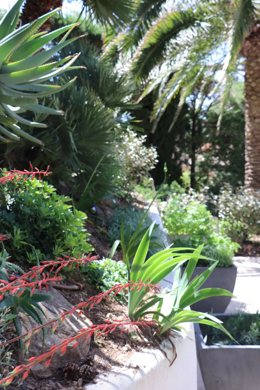 "Mesomax" mit Meerblick-Dehors