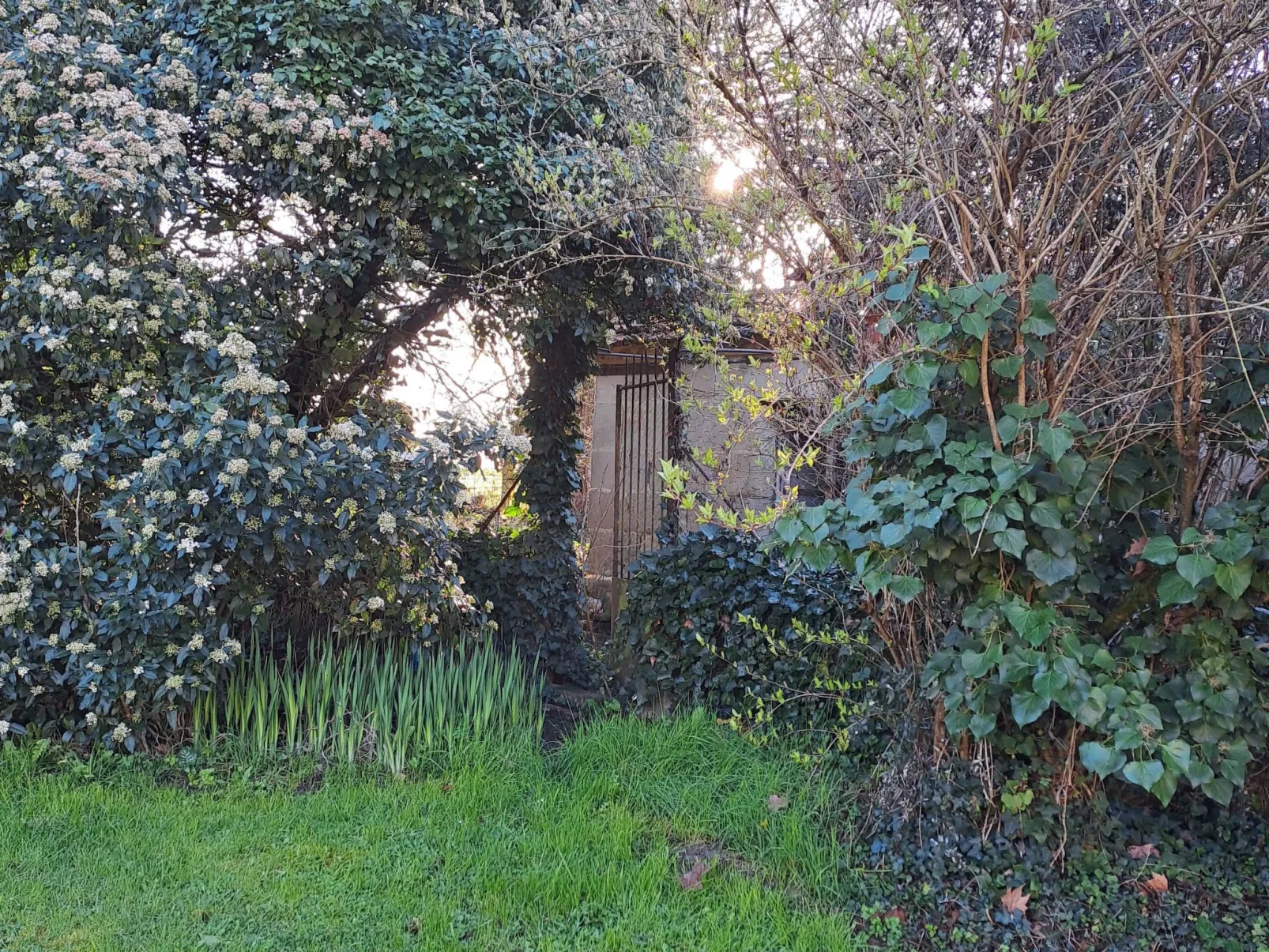 Der Pavillon - im Park des Schlosses Lescaut-Draußen