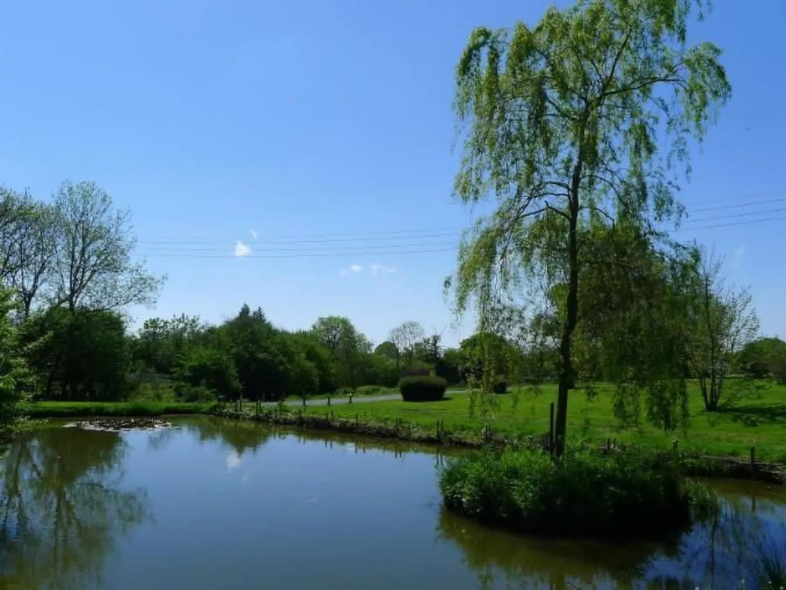 Helles, offenes Ferienhaus, Gemeinschaftspool Hunde-Dehors