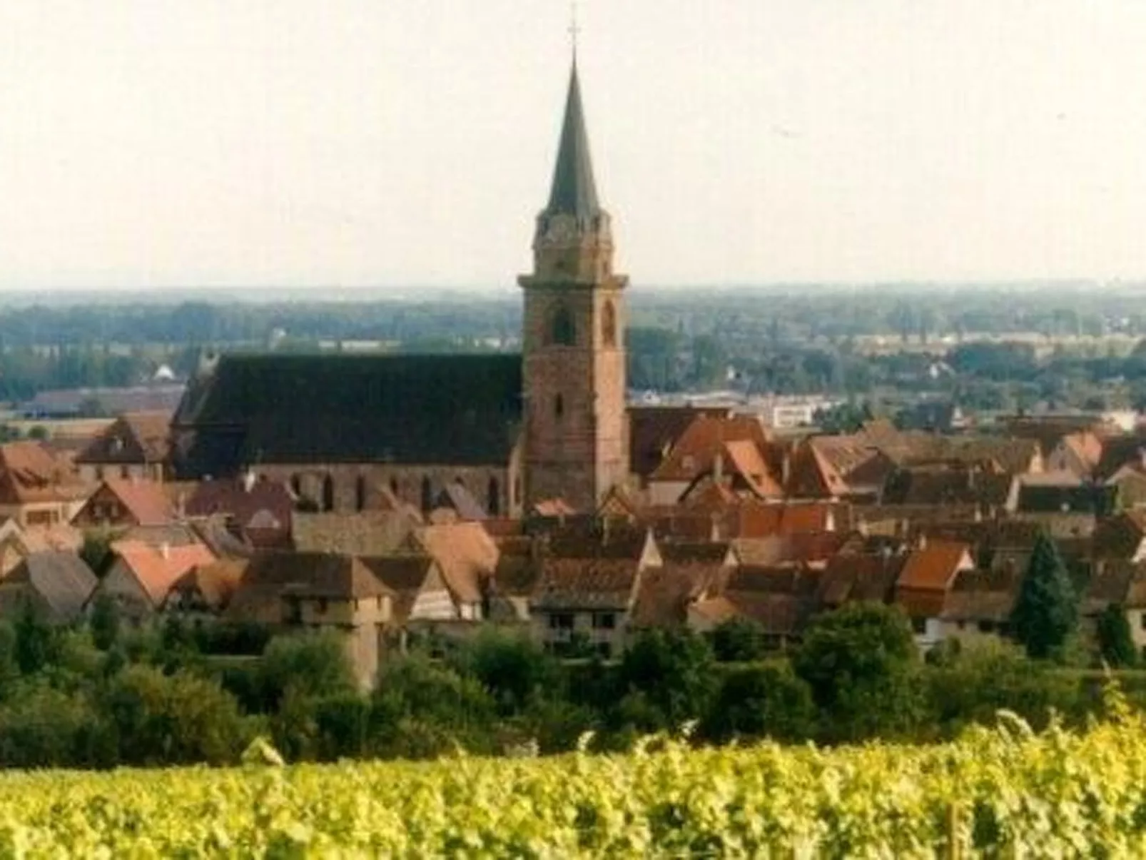 La Maison Bleue im Zentrum des Elsass in Bergheim-Draußen