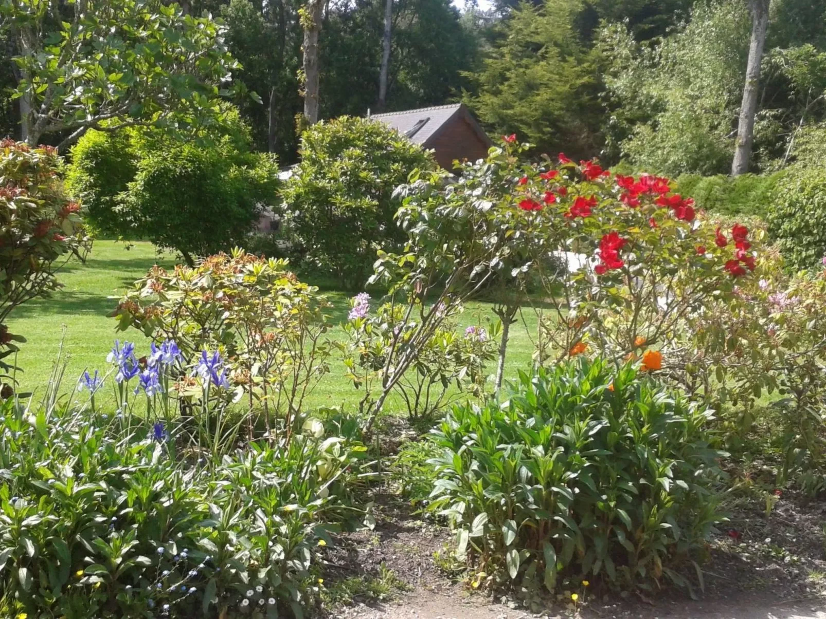 Chalet "gite du bois d'amour" (Hütte des Liebesh-Outside