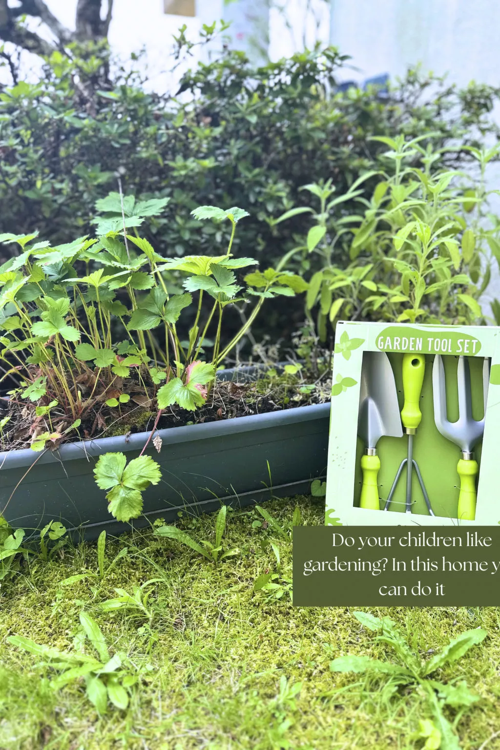 Appartamento vacanze "Luxus-Wohnung"-Outside