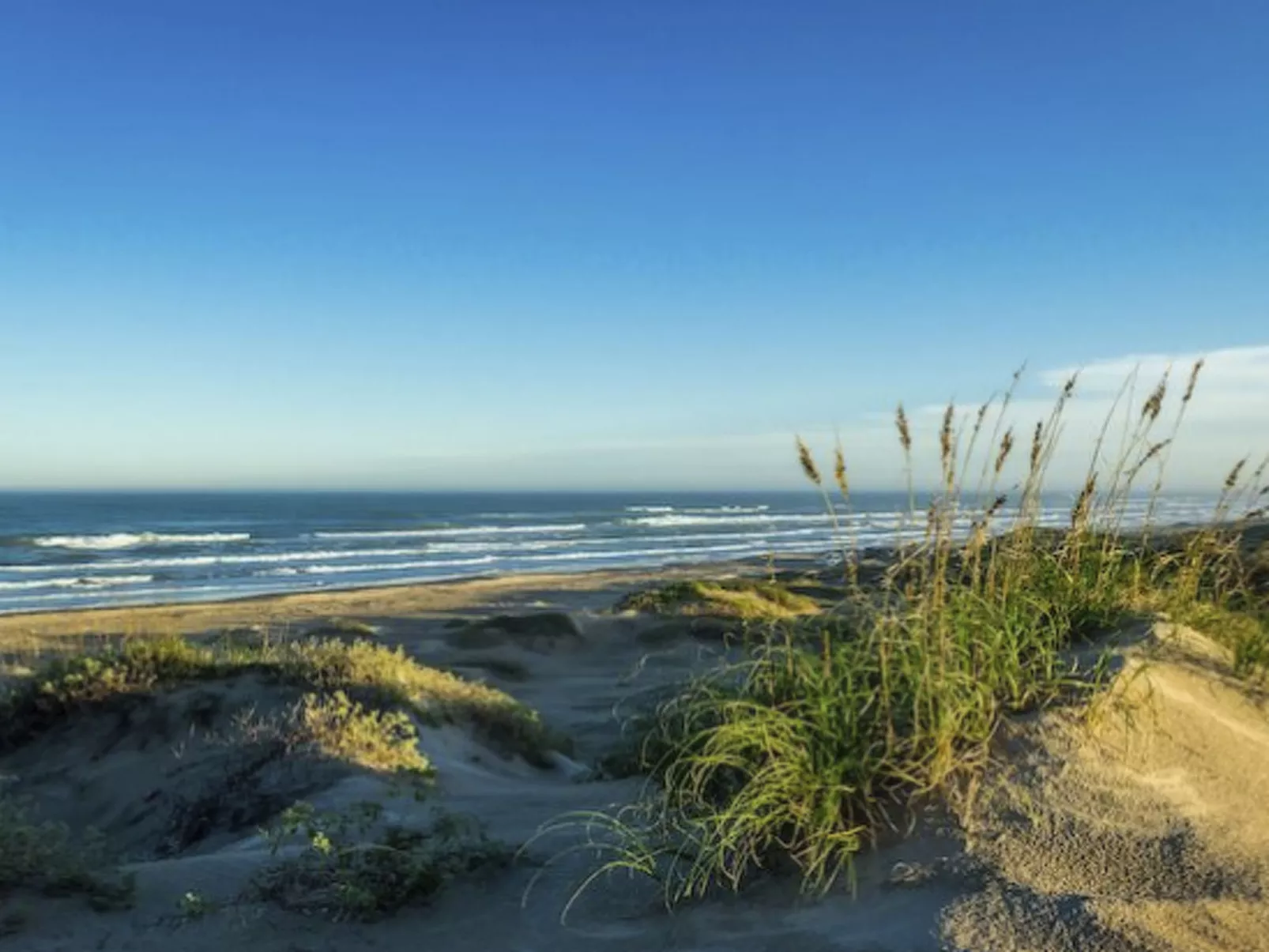 La Maison Pinède-Dehors