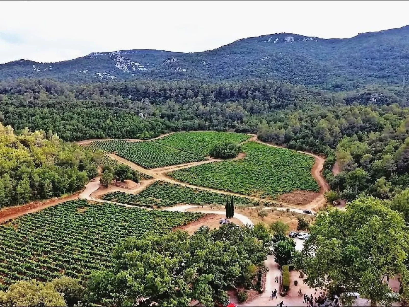 Wohnung in charmantem Haus auf Domäne-Draußen