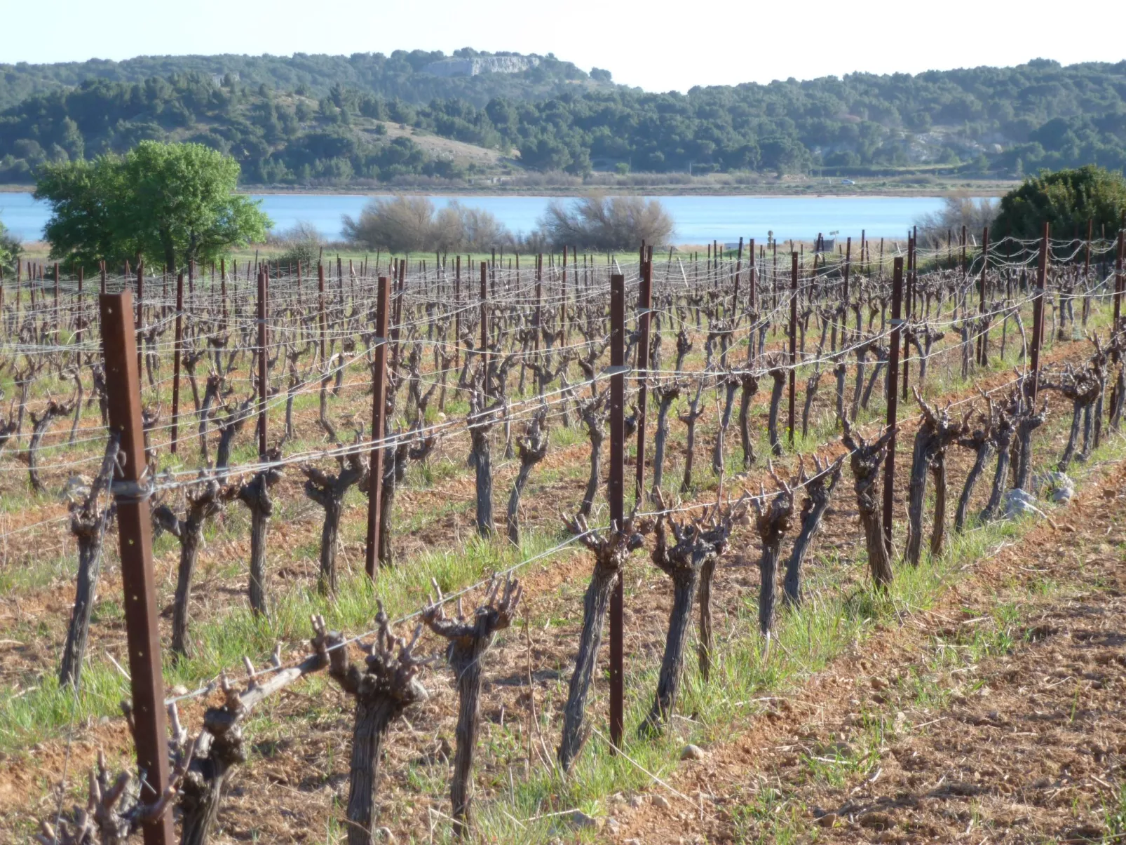 SAISONALE VERMIETUNG: DIE PERGOLA AM STRAND.-Dehors