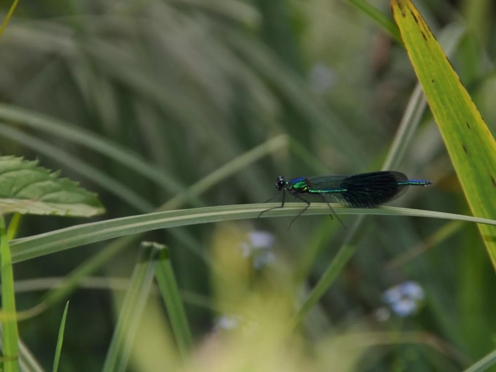 Rosalie - Ruhig - Zentral - Hochwertig-Outside