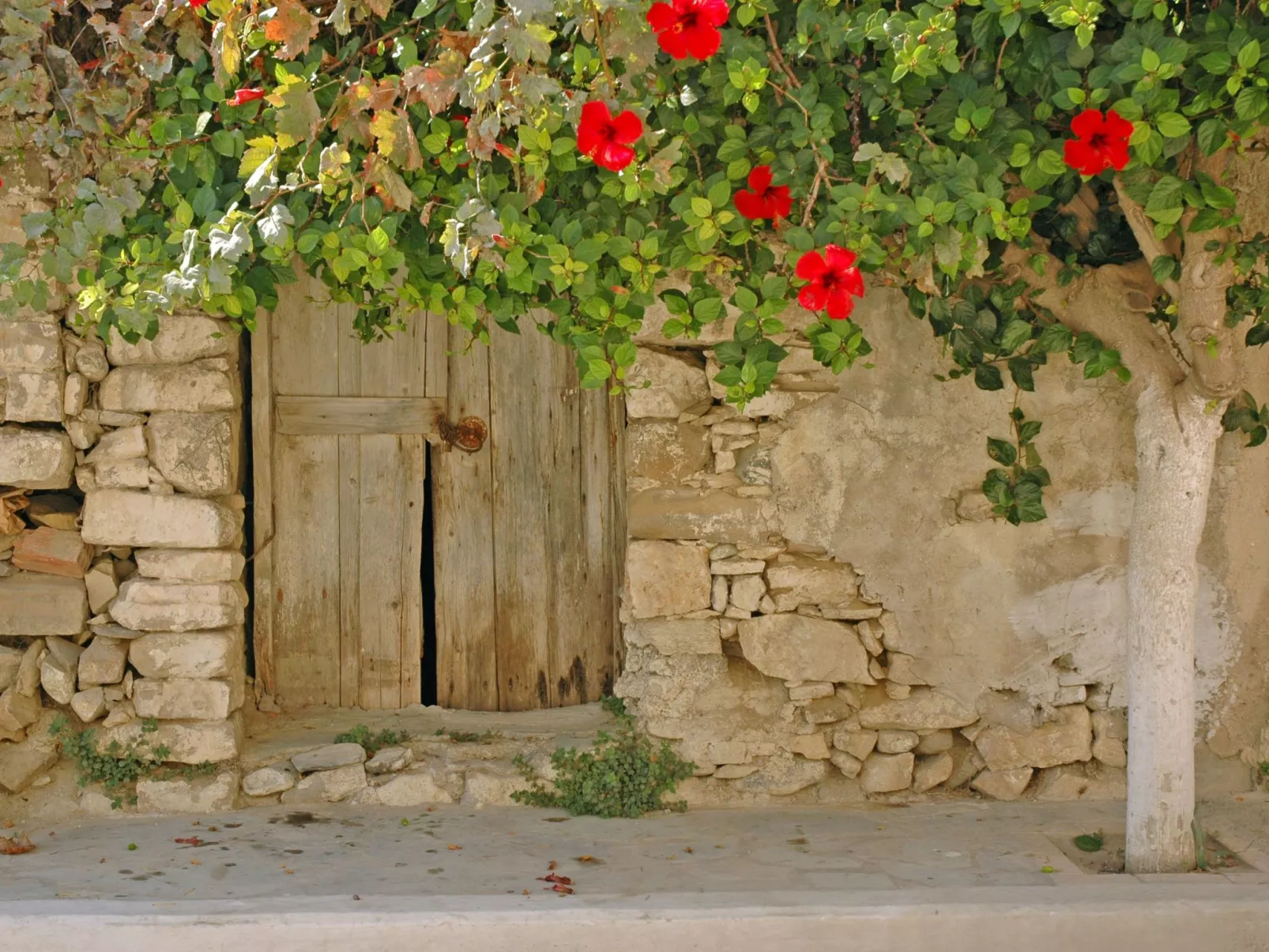 Wohnung "Aliki" mit Blick auf das Wasser-Outside