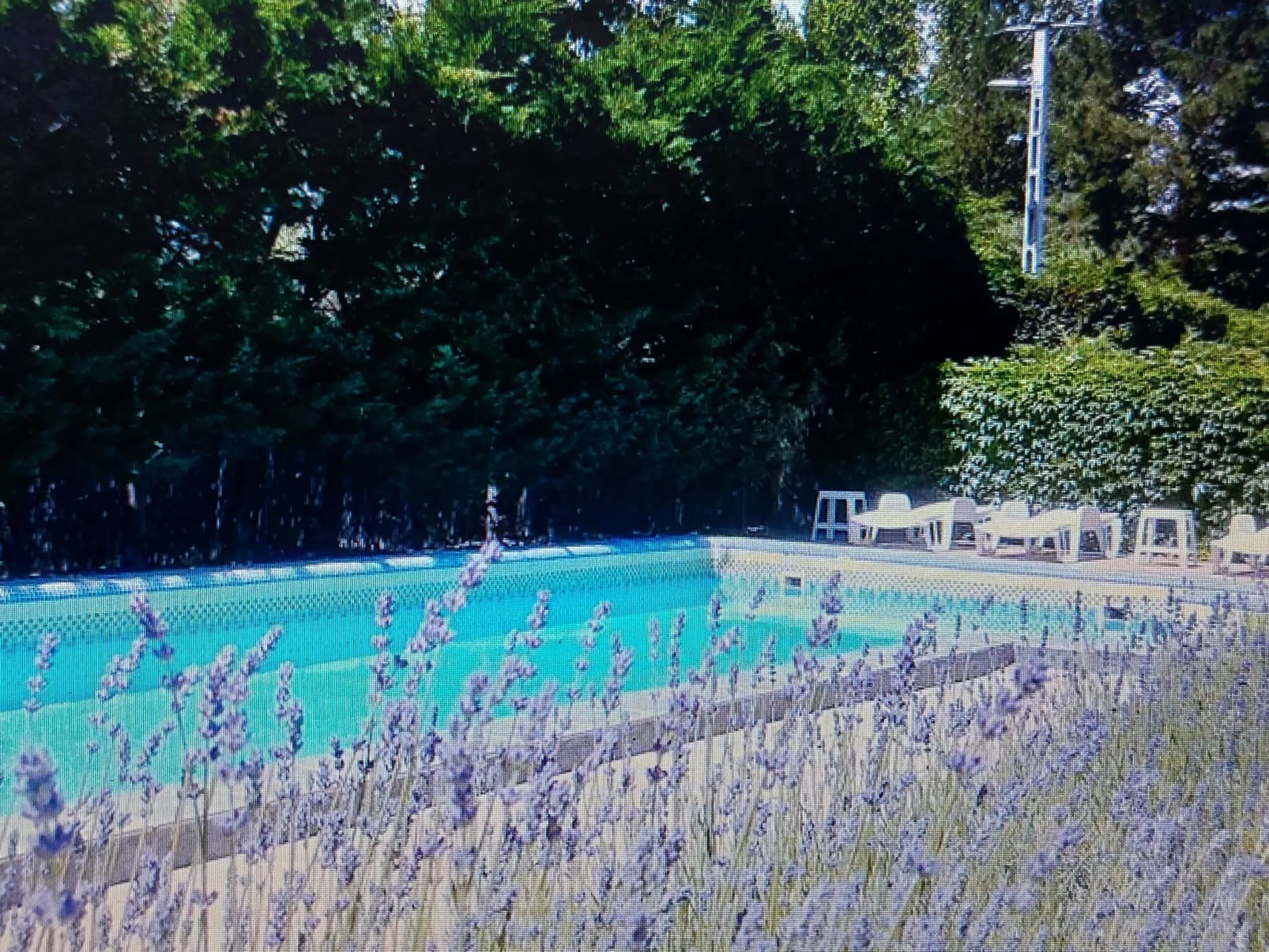 Mit gemeinschaftlichem Pool-Dehors