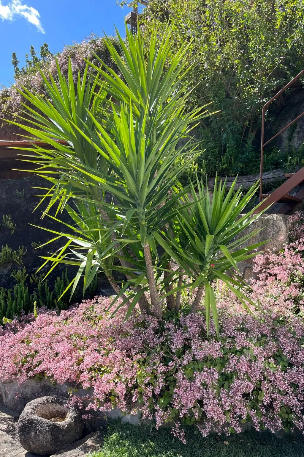 Casas das Olas 1 - Großartige Aussicht, 2 Pools, idealer Ort zum Entspannen und-Outside