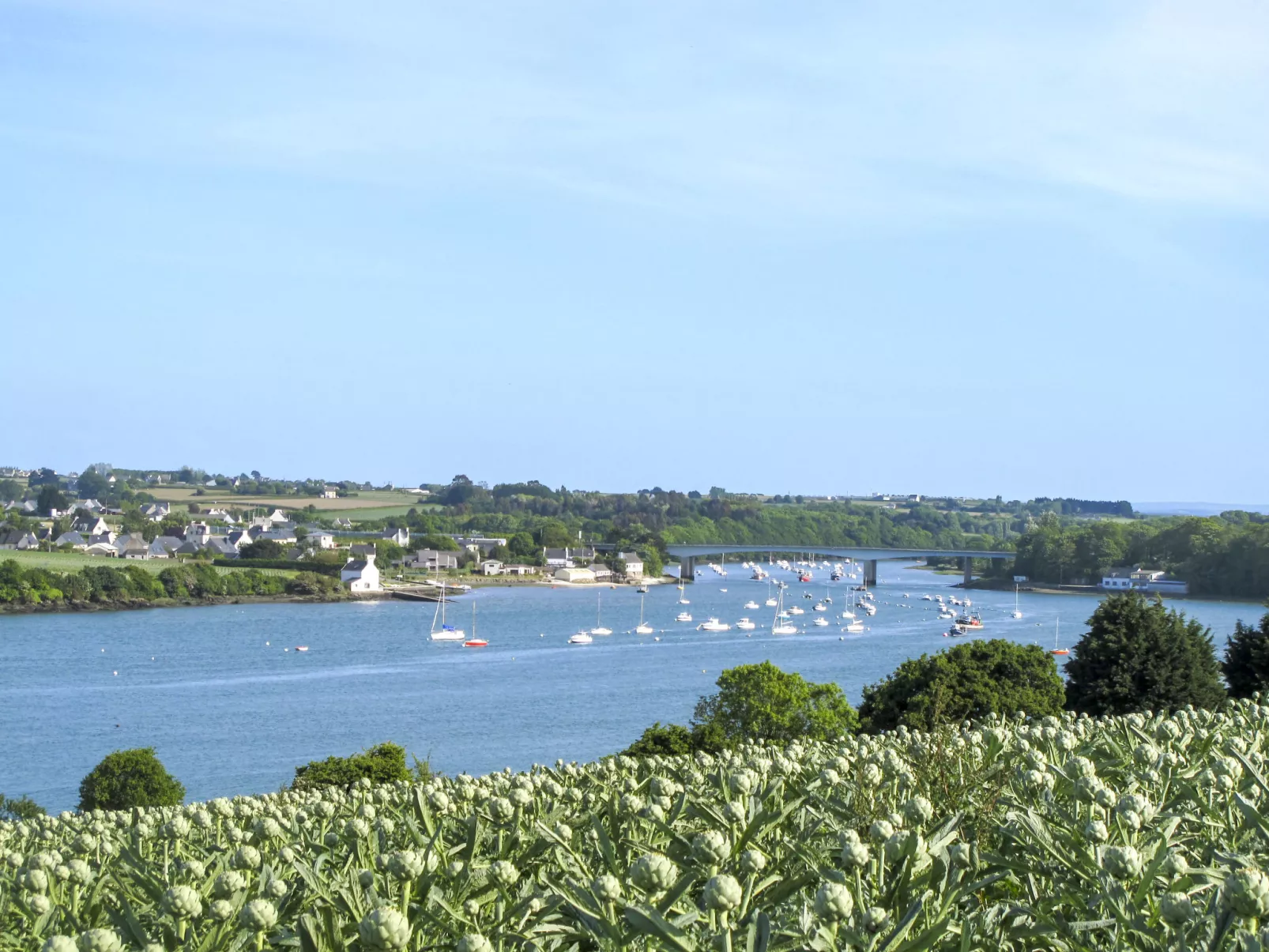 Apartment "Blue dream" in Strandnähe-Umgebung