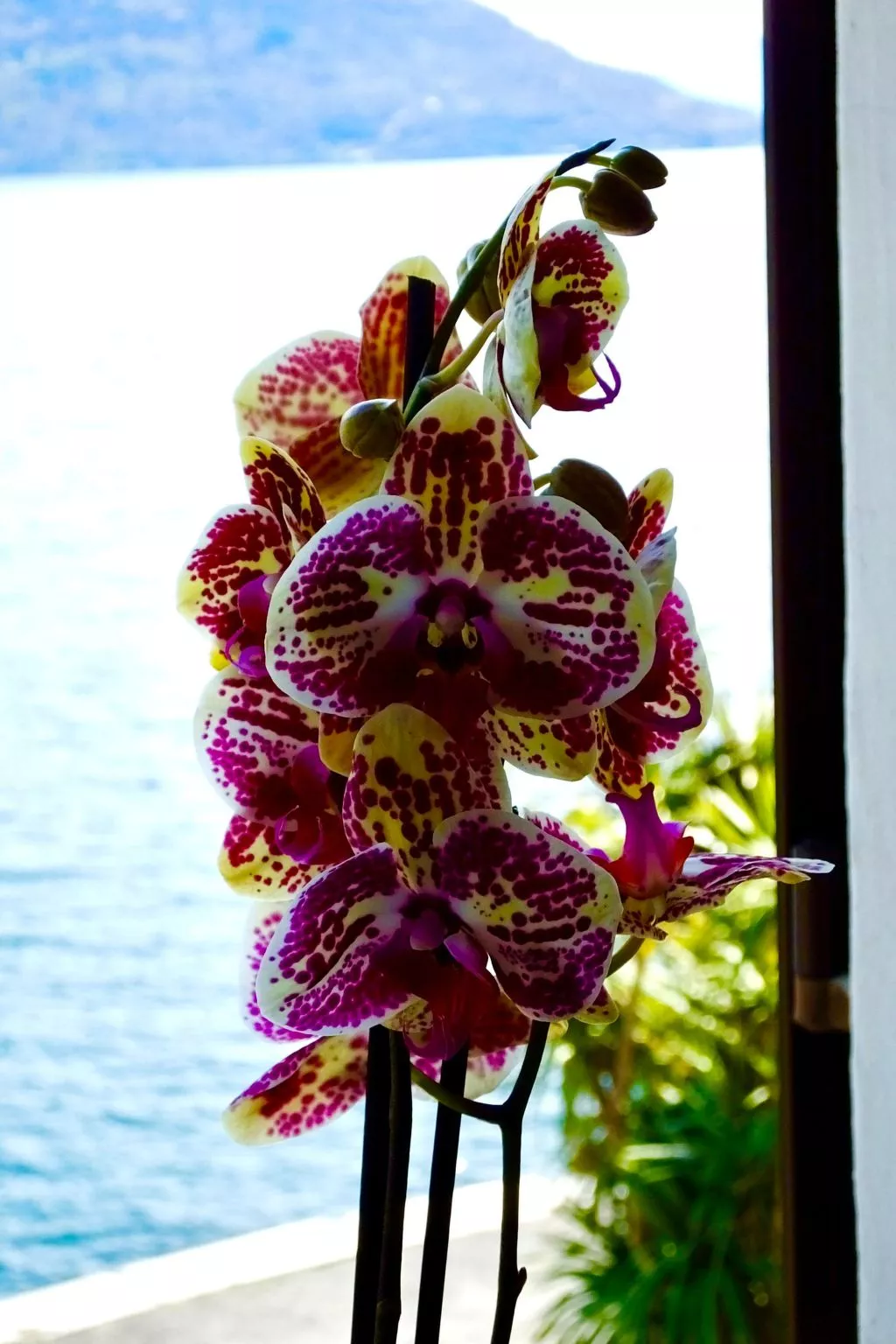 See-Penthouse-Draußen