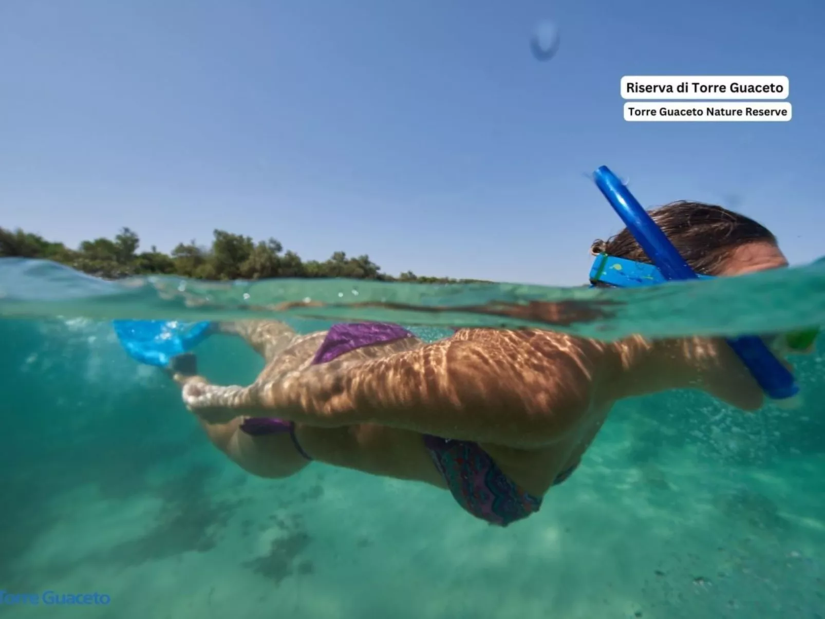 'Connie's House-Image-tags.info