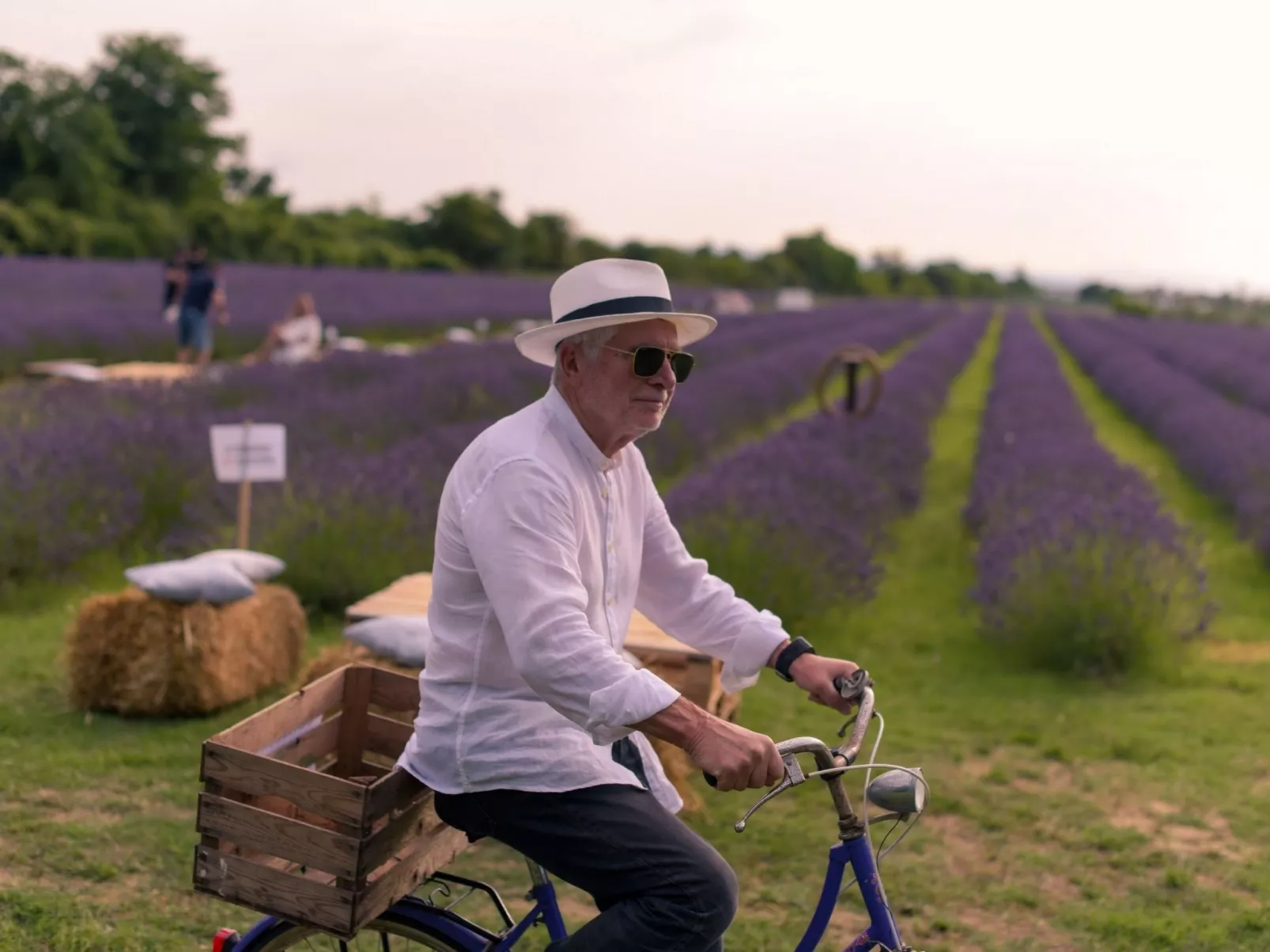 Wohnung 'Molinello pini' mit Schwimmbad-Outside